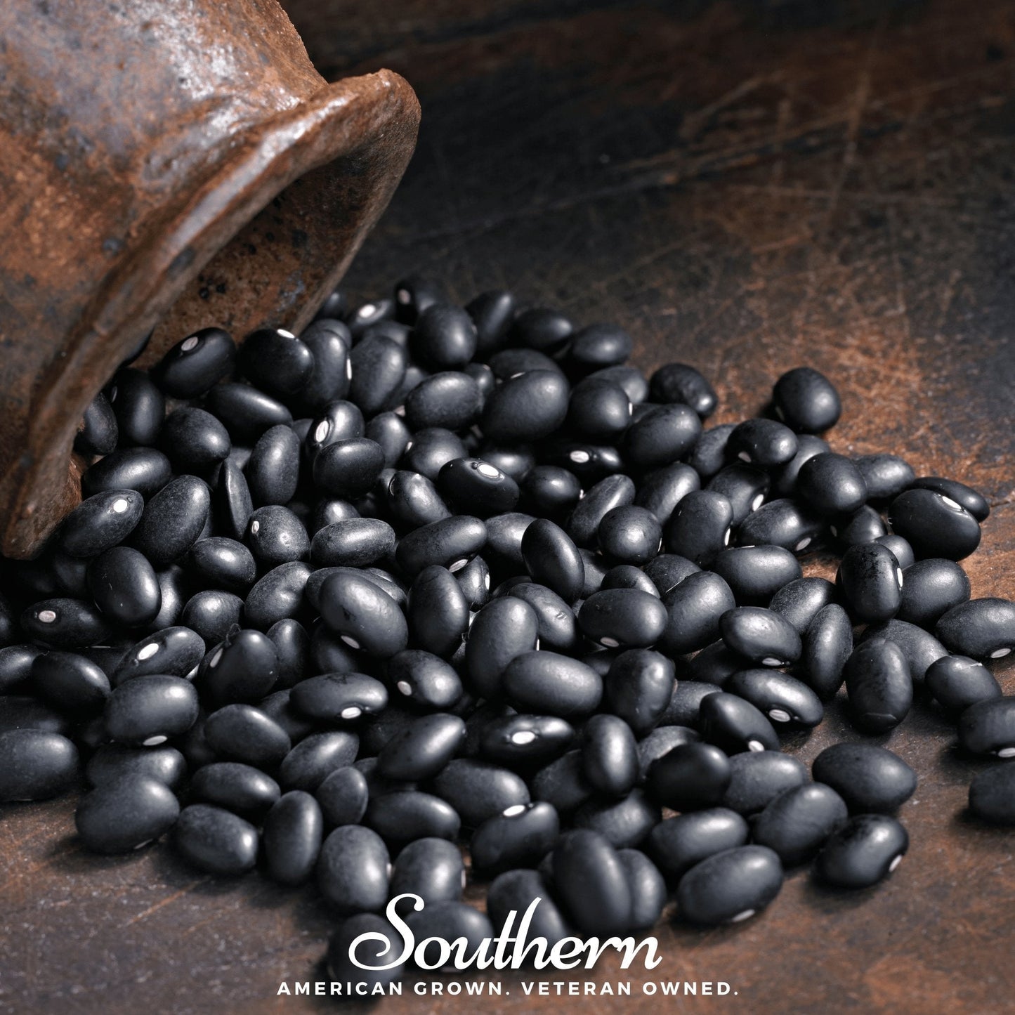 Black Coco Bean (Bush) ā 30 Seeds