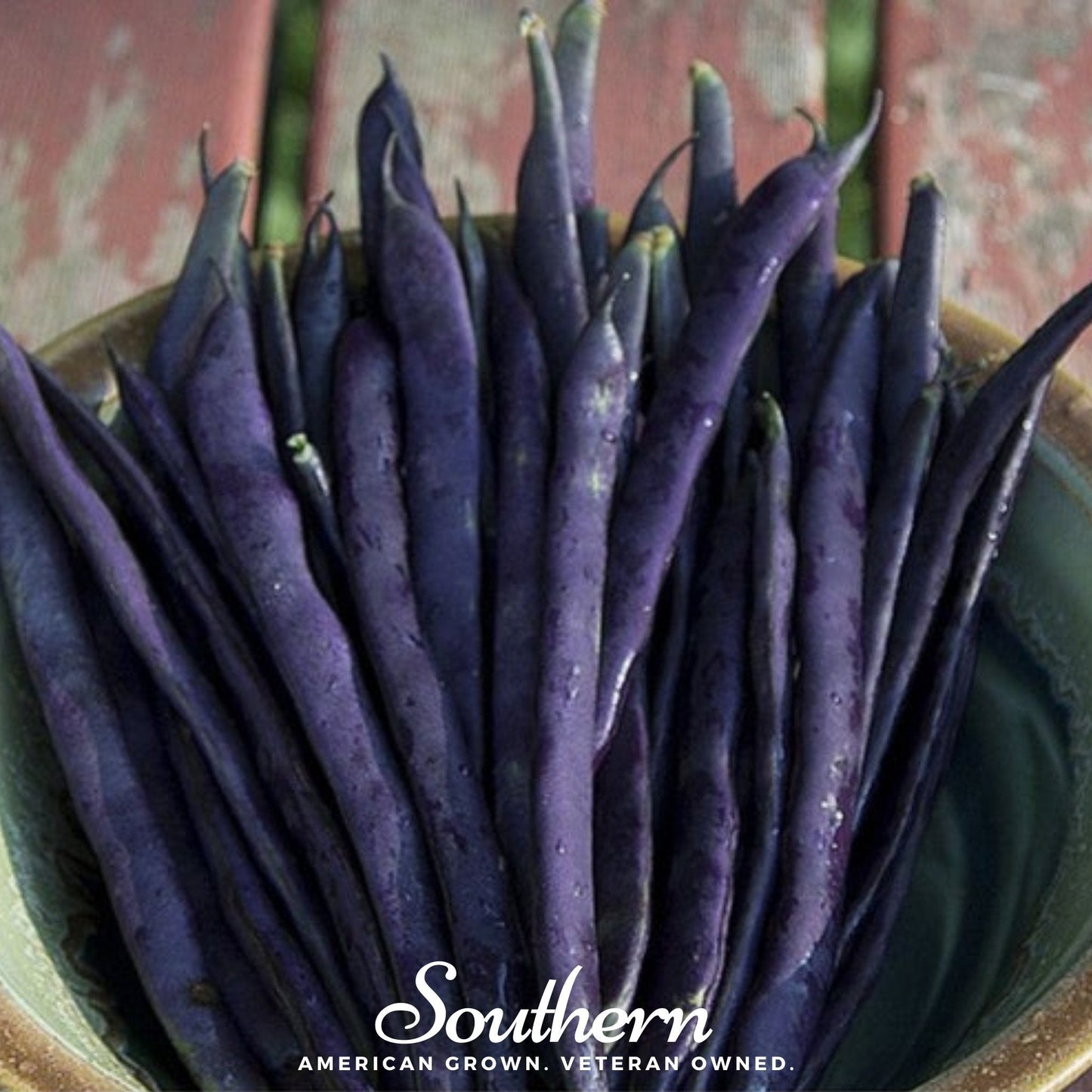 Blue Coco Bean (Pole) ā 30 Seeds