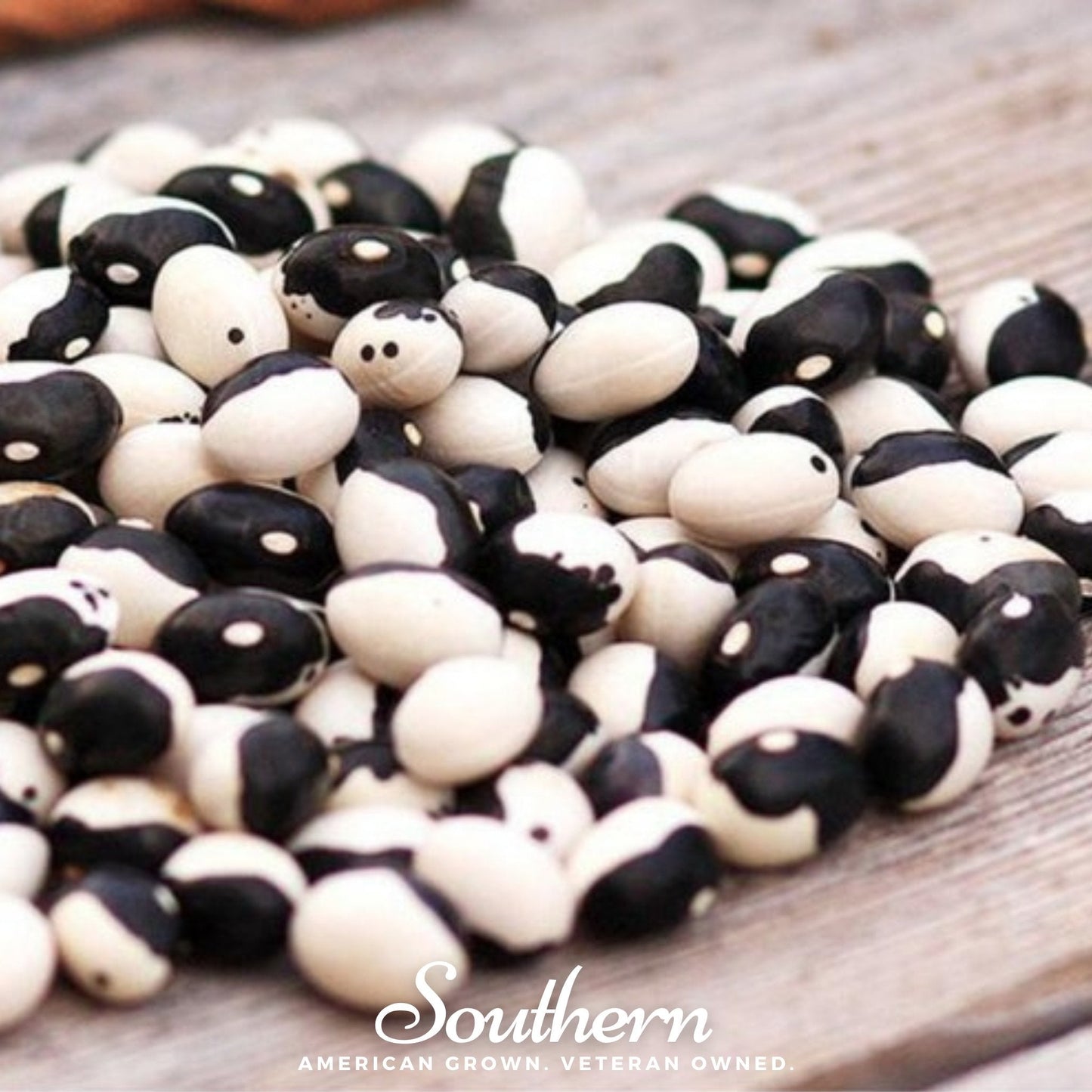 Calypso Orca Bean (Bush) ā 25 Seeds