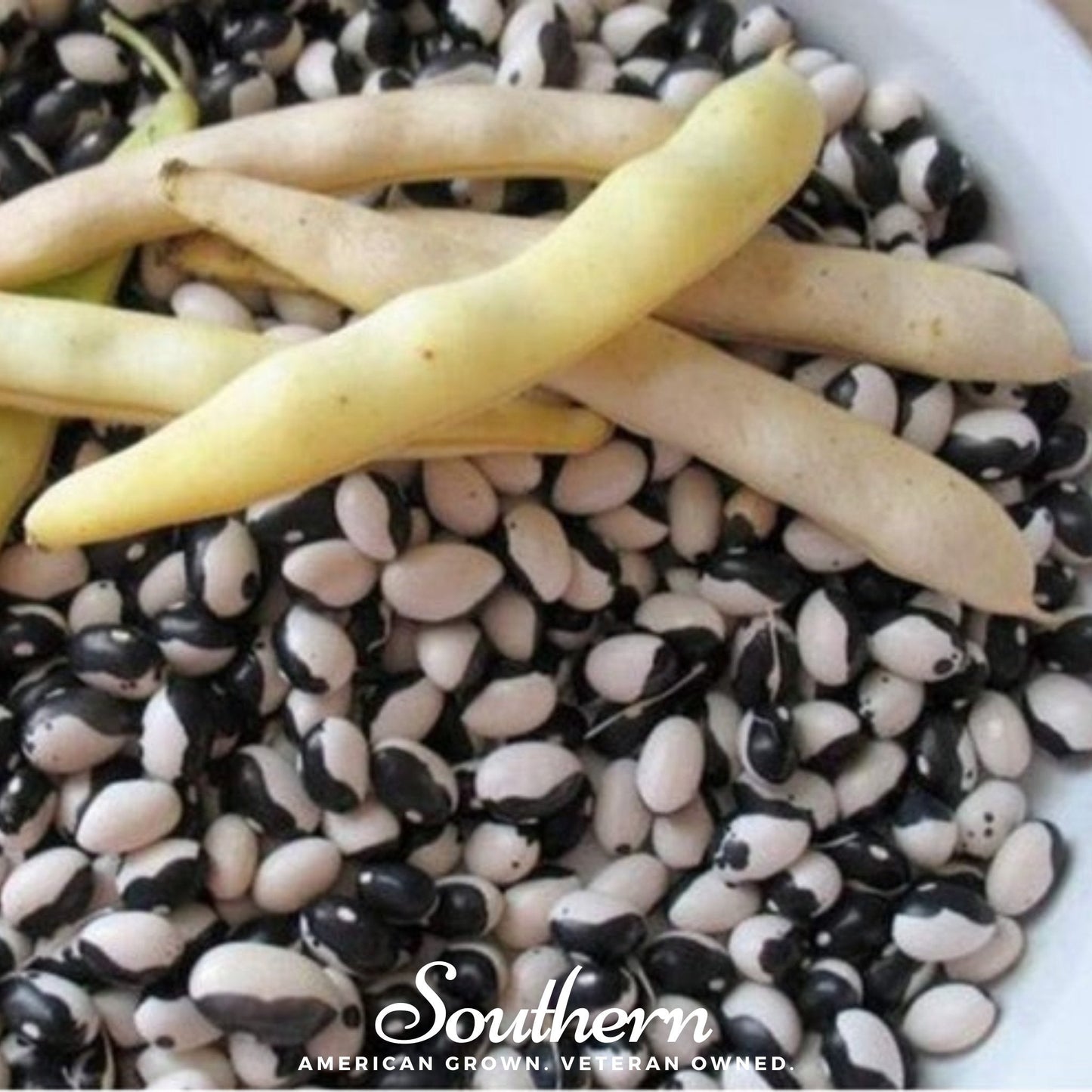 Calypso Orca Bean (Bush) ā 25 Seeds