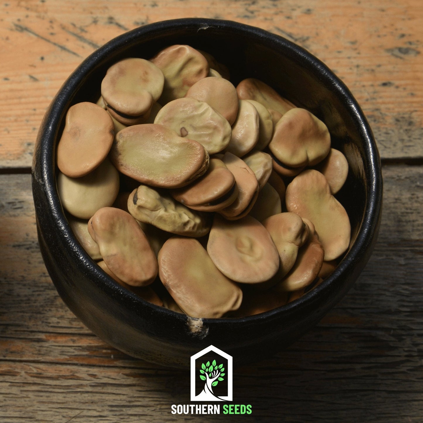 Broad Windsor Fava Bean ā 10 Seeds