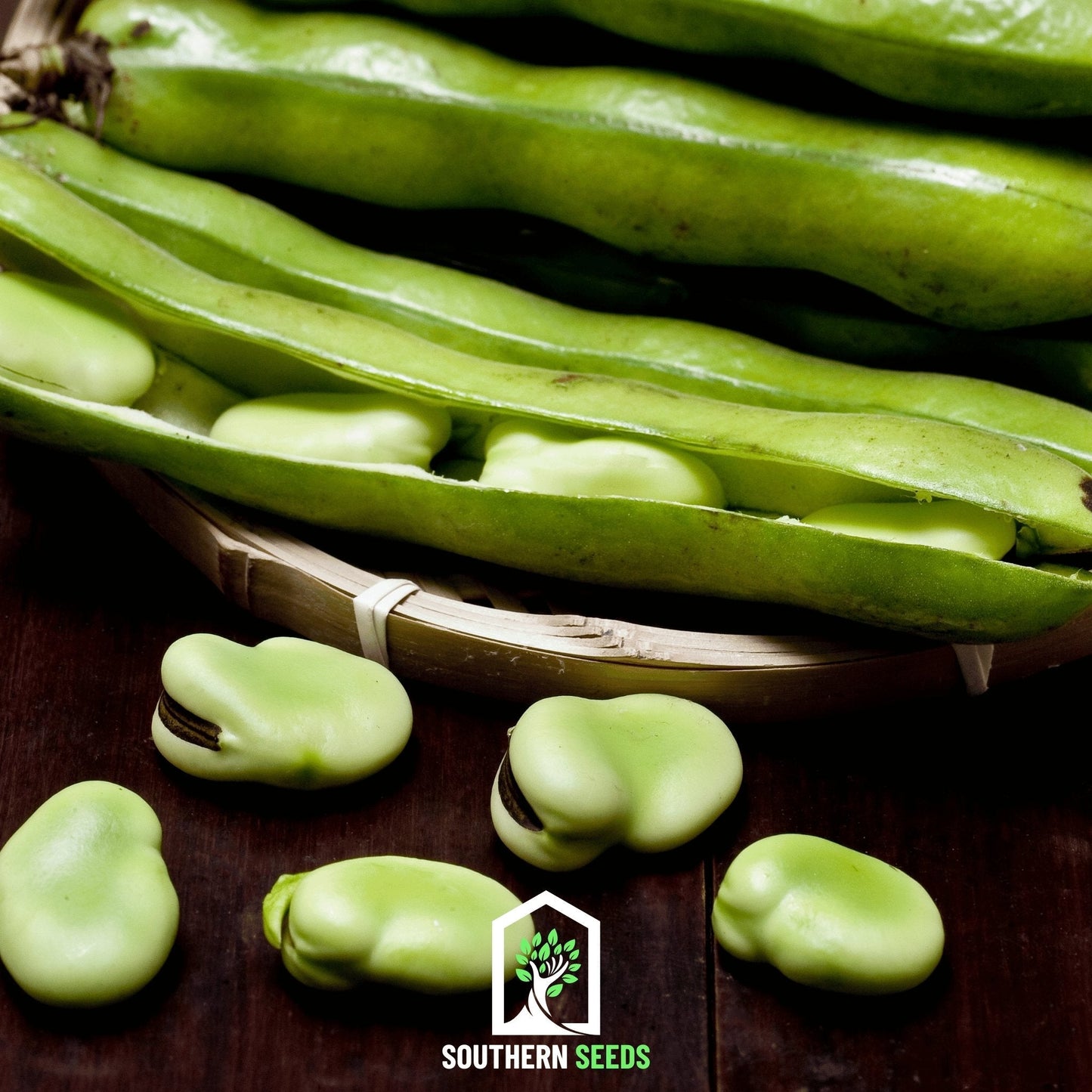 Broad Windsor Fava Bean ā 10 Seeds