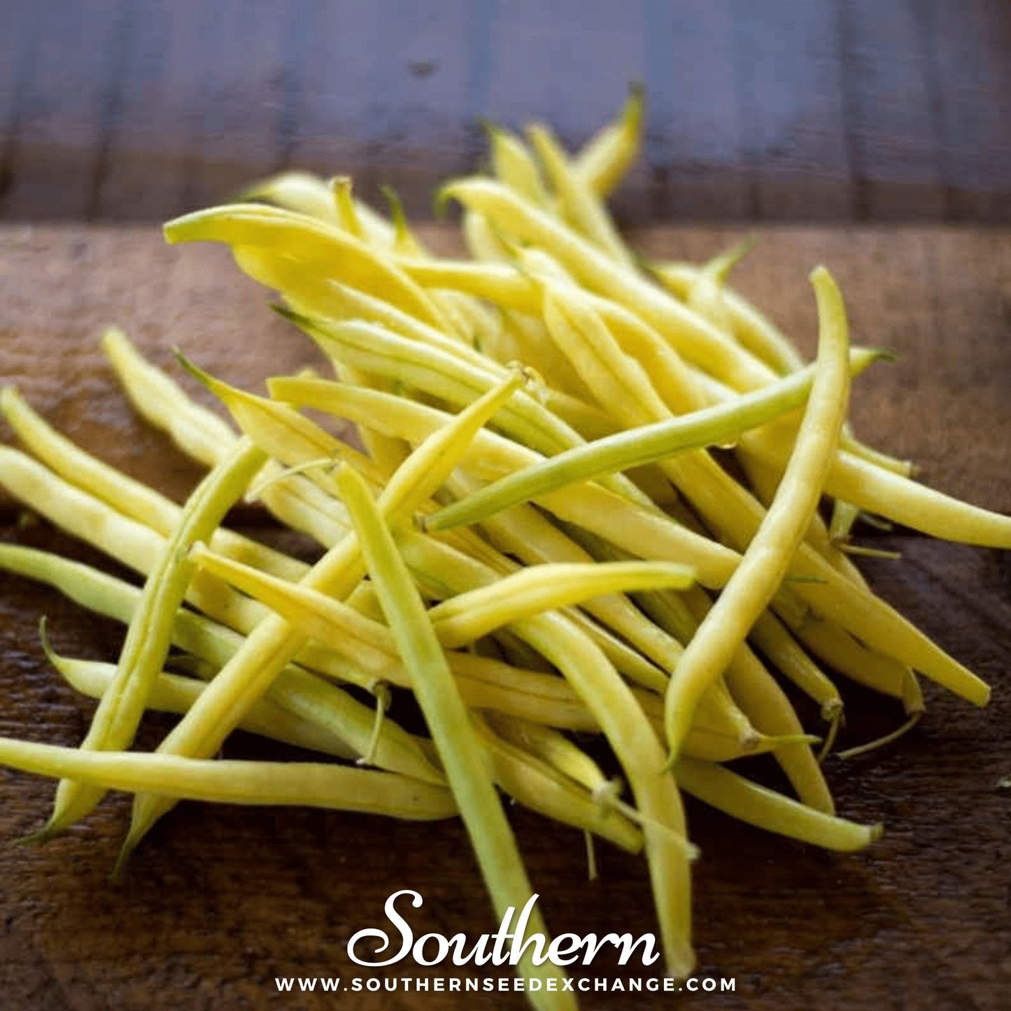 Gold Rush Bean (Bush) ā 30 Seeds