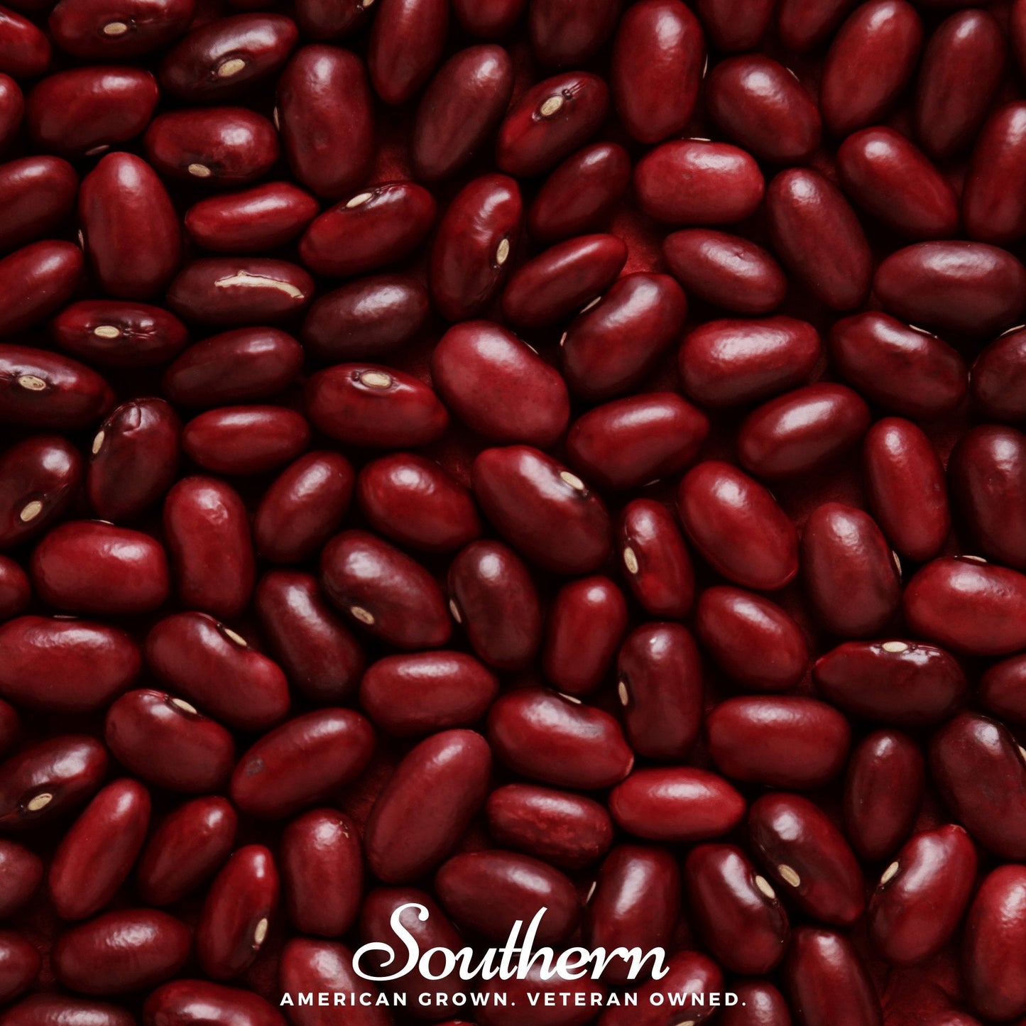Dark Red Kidney Bean (Bush) ā 20 Seeds
