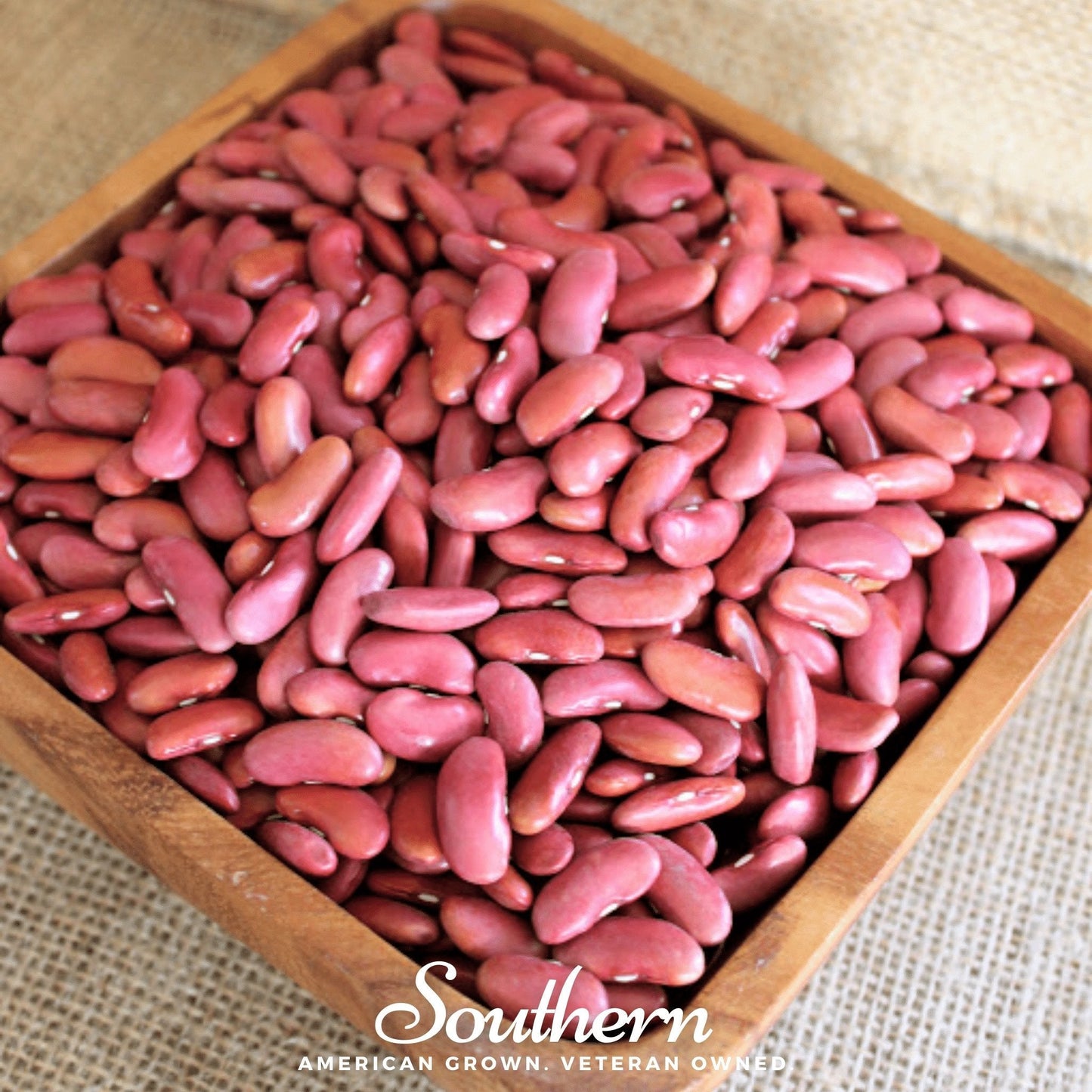 Light Red Kidney Bean (Bush) ā 20 Seeds