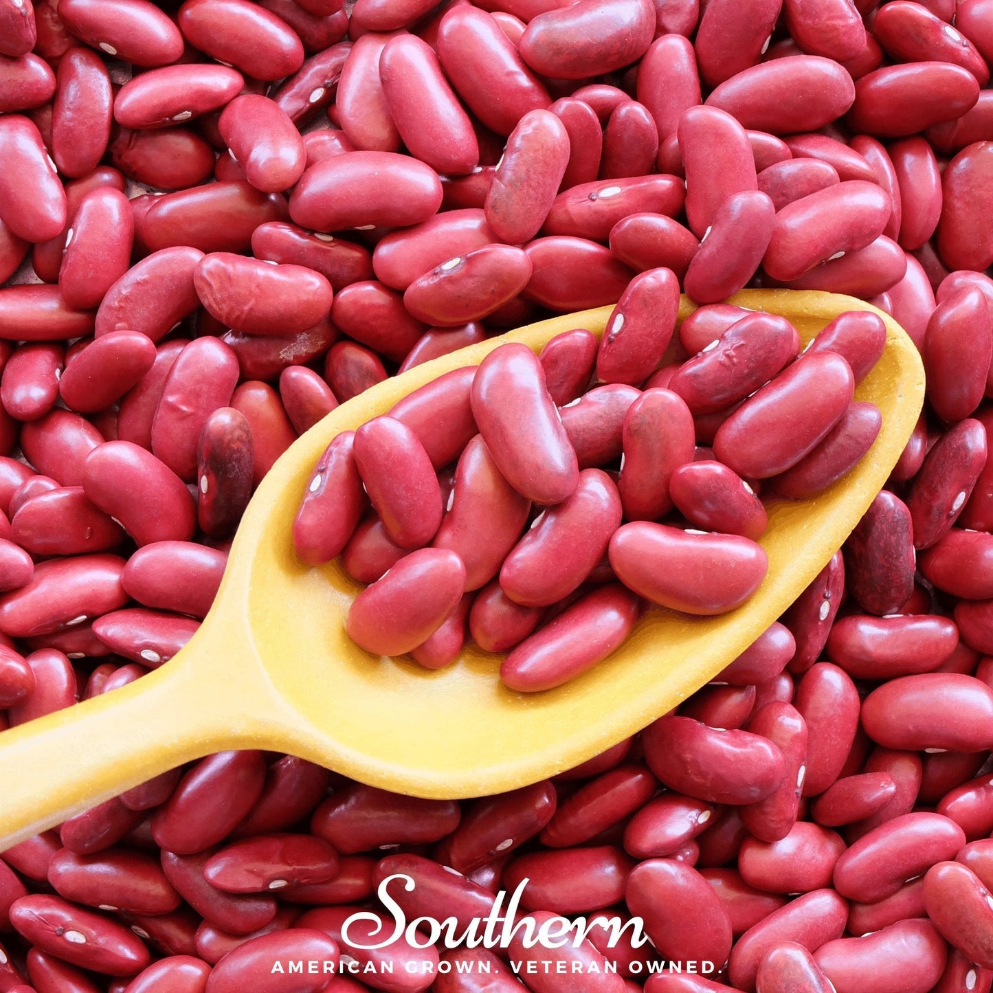 Light Red Kidney Bean (Bush) ā 20 Seeds