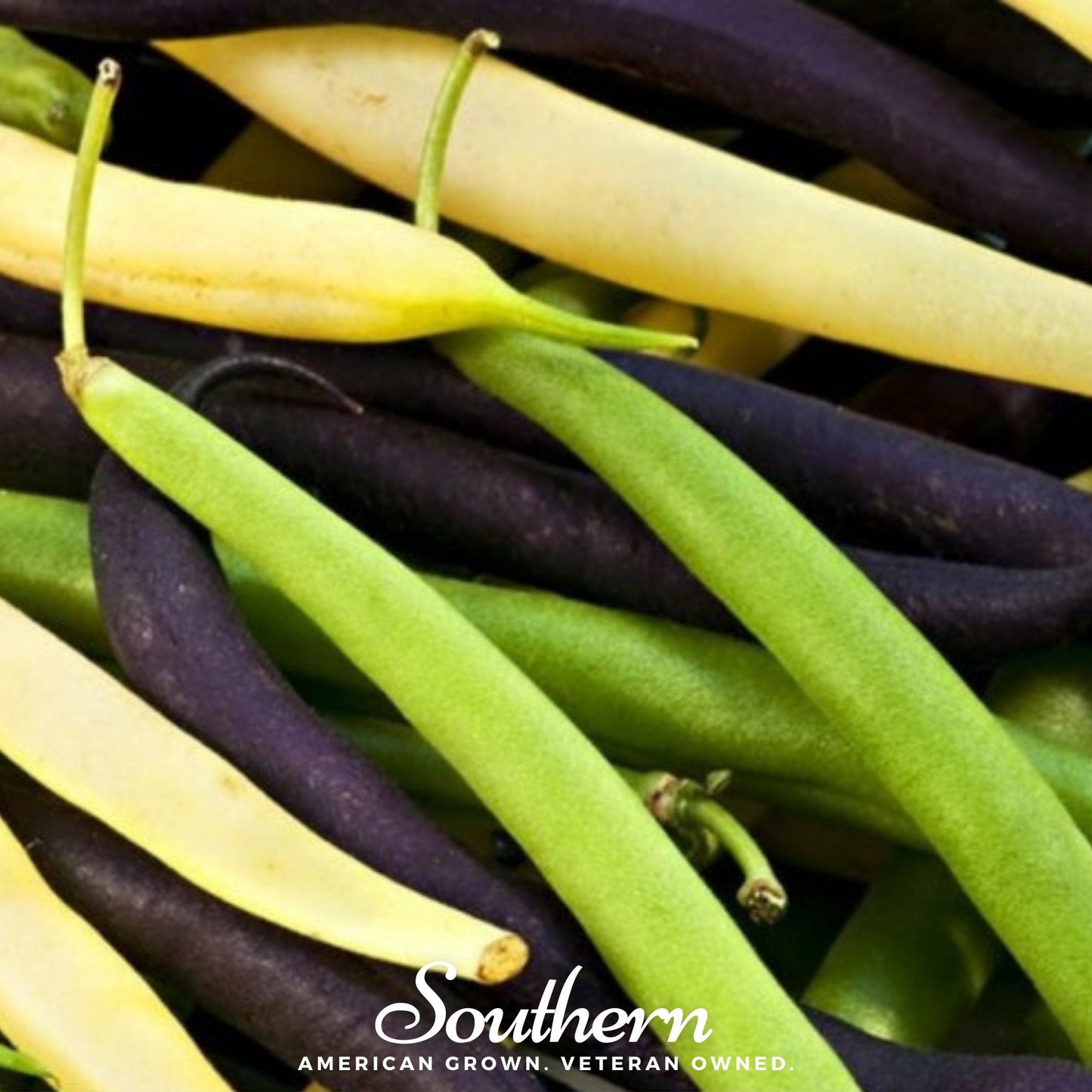 Multicolored Mix Lima Bean (Pole) ā 30 Seeds