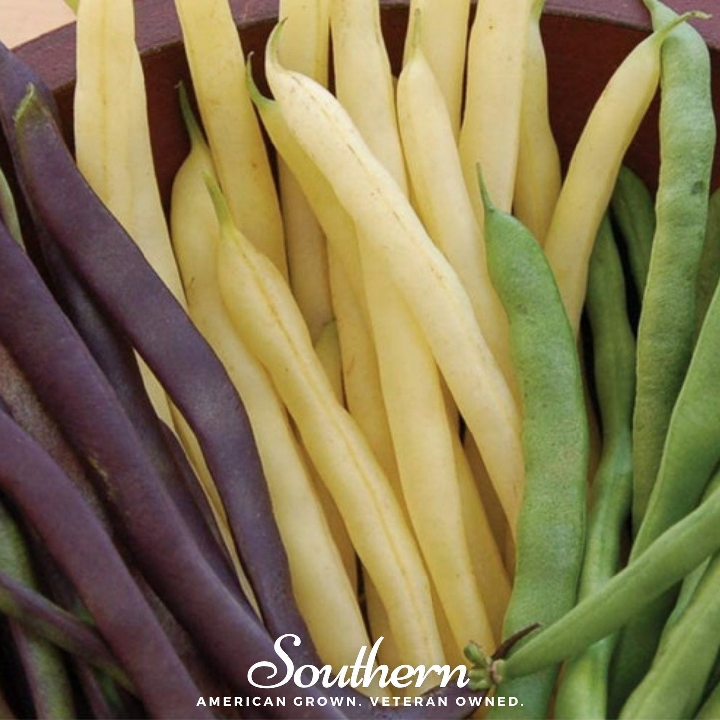 Multicolored Mix Lima Bean (Pole) ā 30 Seeds
