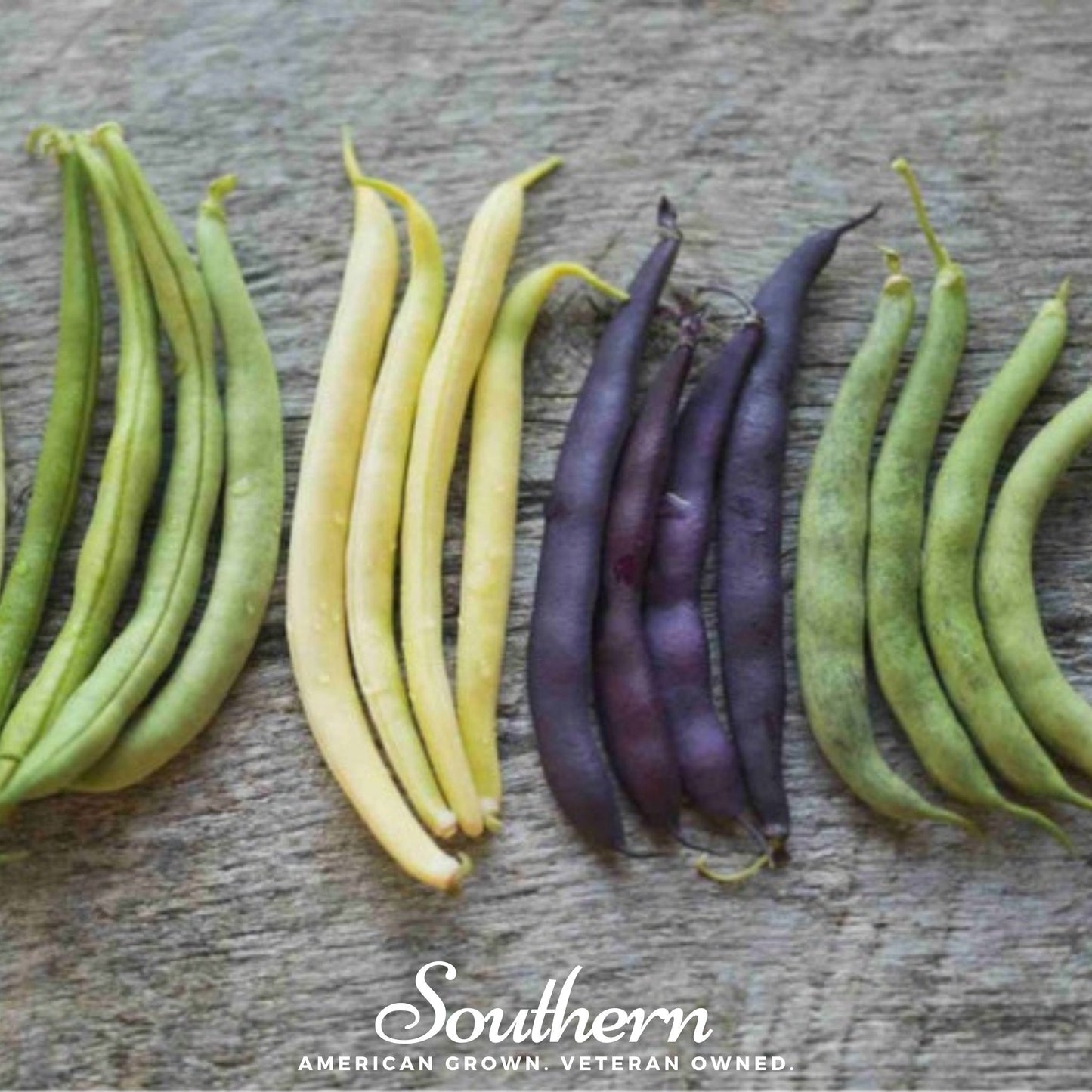 Multicolored Mix Lima Bean (Pole) ā 30 Seeds