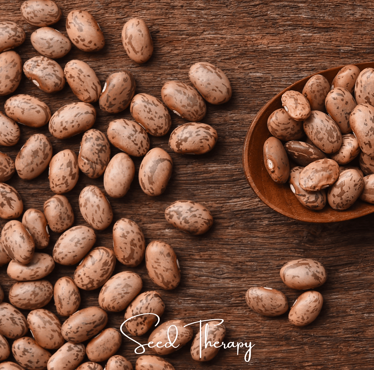 Pinto Bean ā 20 Seeds