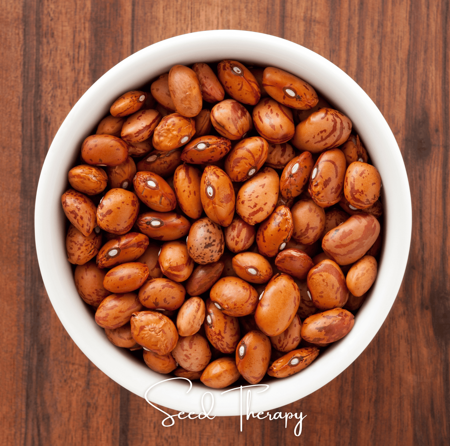 Pinto Bean ā 20 Seeds