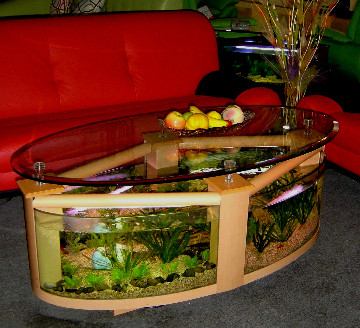 WARRANTY INCLUDED! 60 gallon GLASS oval round table aquarium fish tank setup