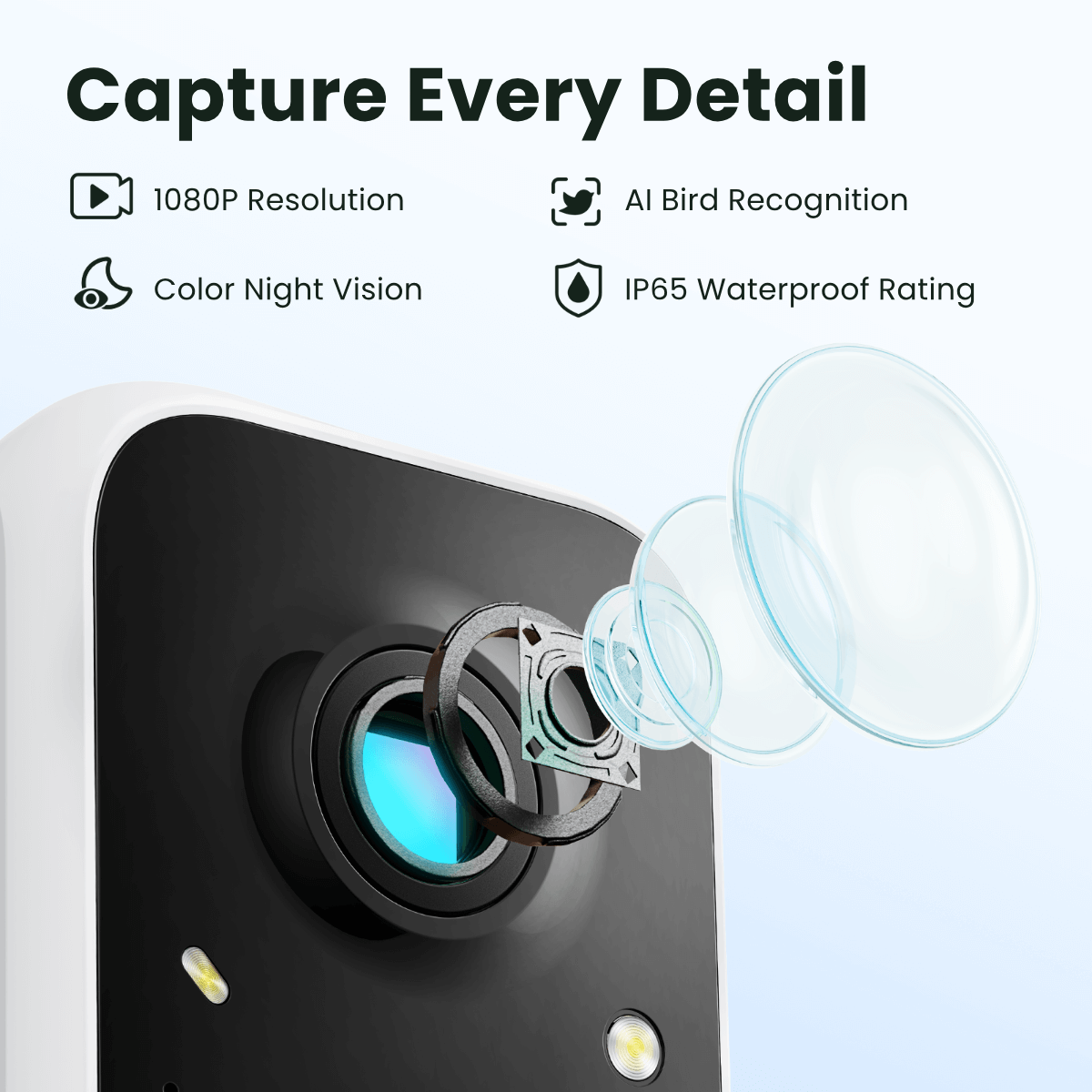 Birdfy Feeder - AI-Powered Smart Bird Feeder with Camera