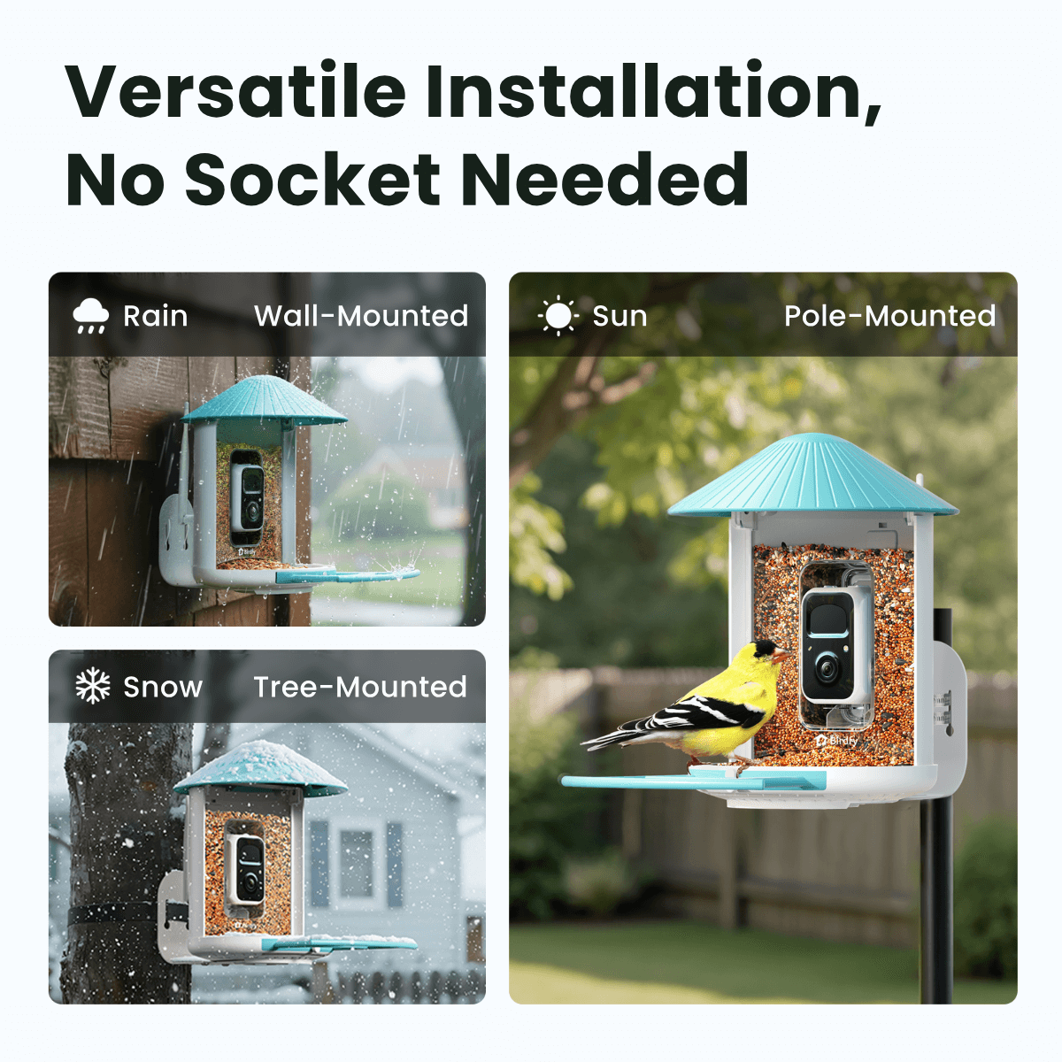 Birdfy Feeder - AI-Powered Smart Bird Feeder with Camera