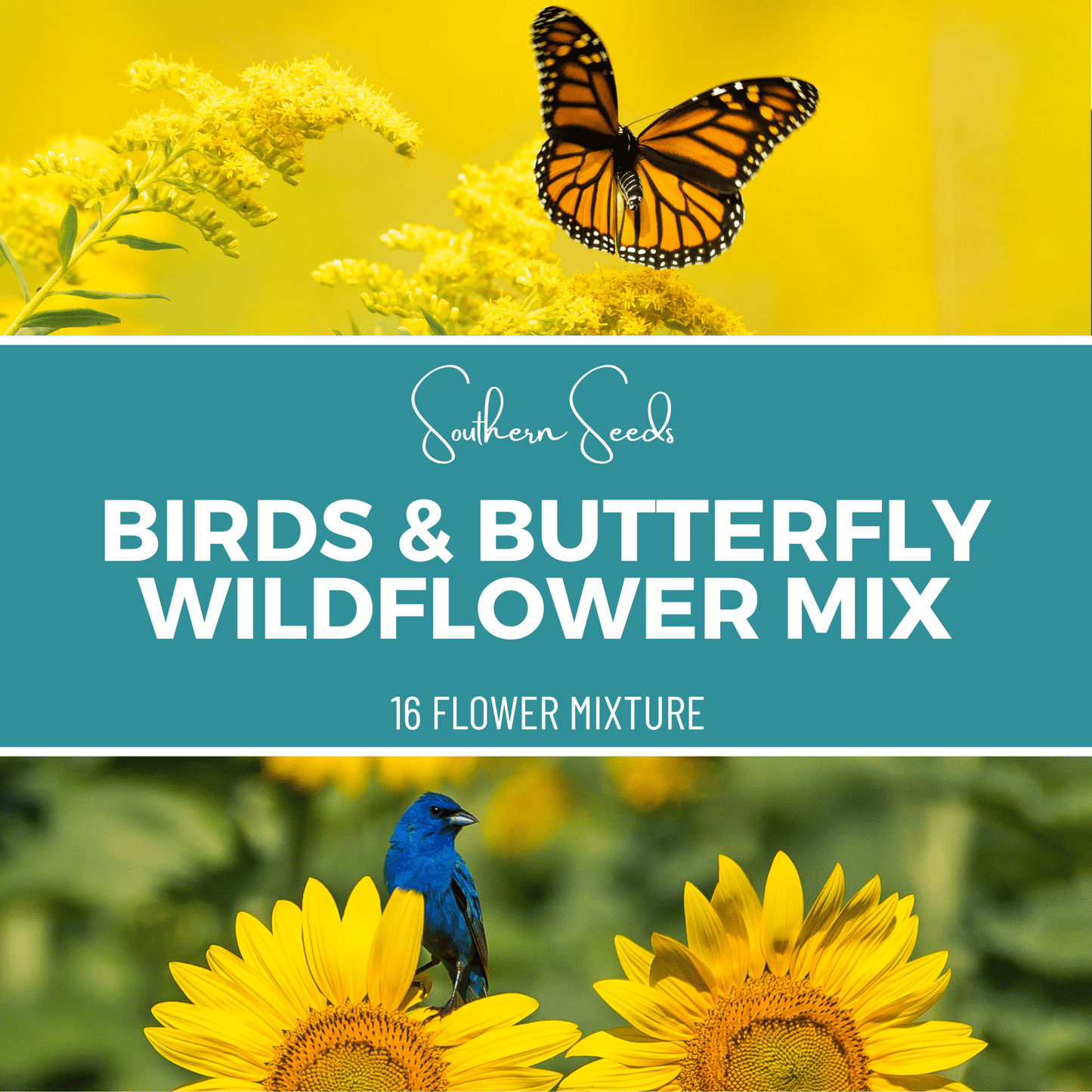 Birds & Butterfly Wildflower Seed Mix (14 Varieties) ā 1,000 Seeds