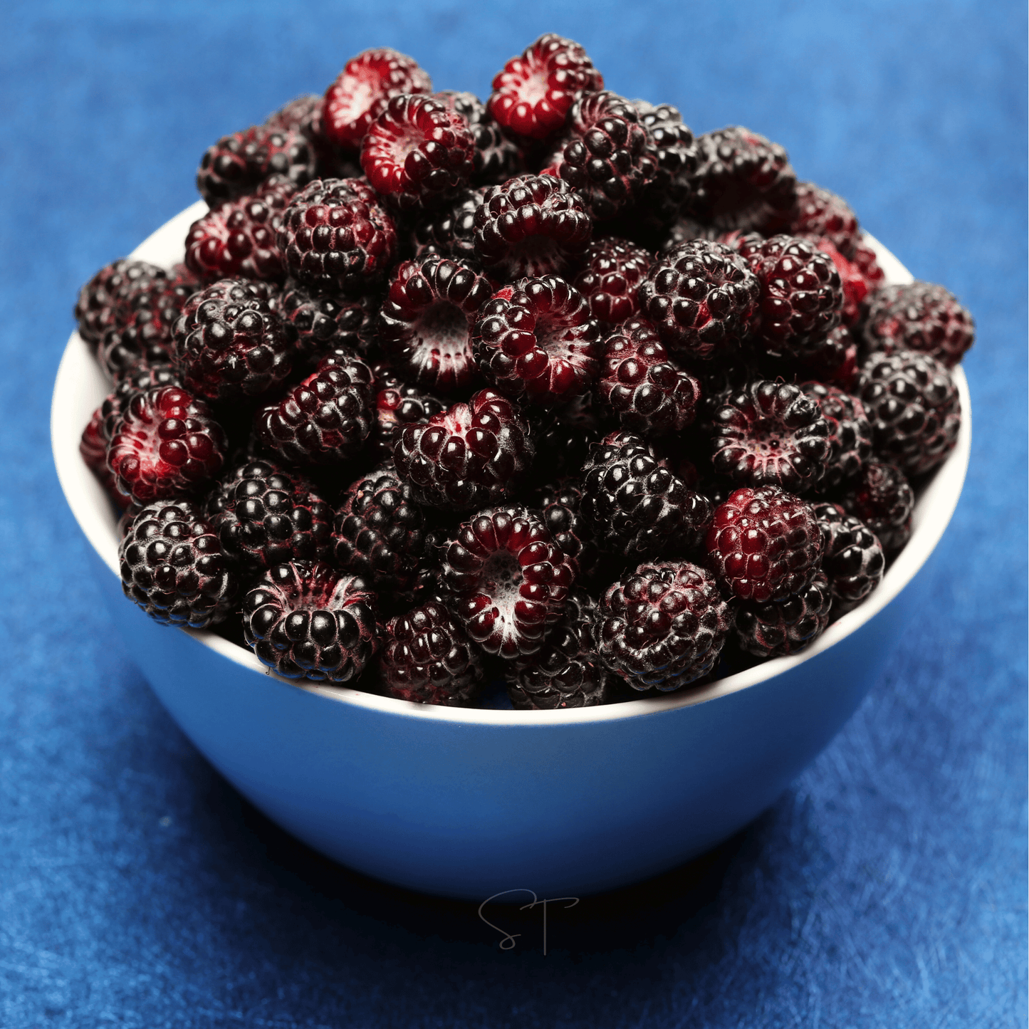 Black Raspberry ā 30 Seeds