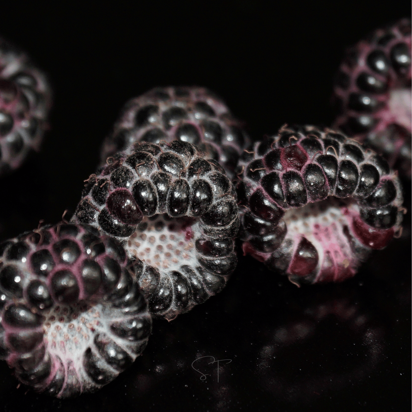 Black Raspberry ā 30 Seeds