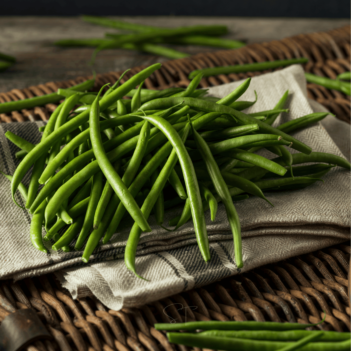 Blue Lake Bean (Pole) ā 50 Seeds