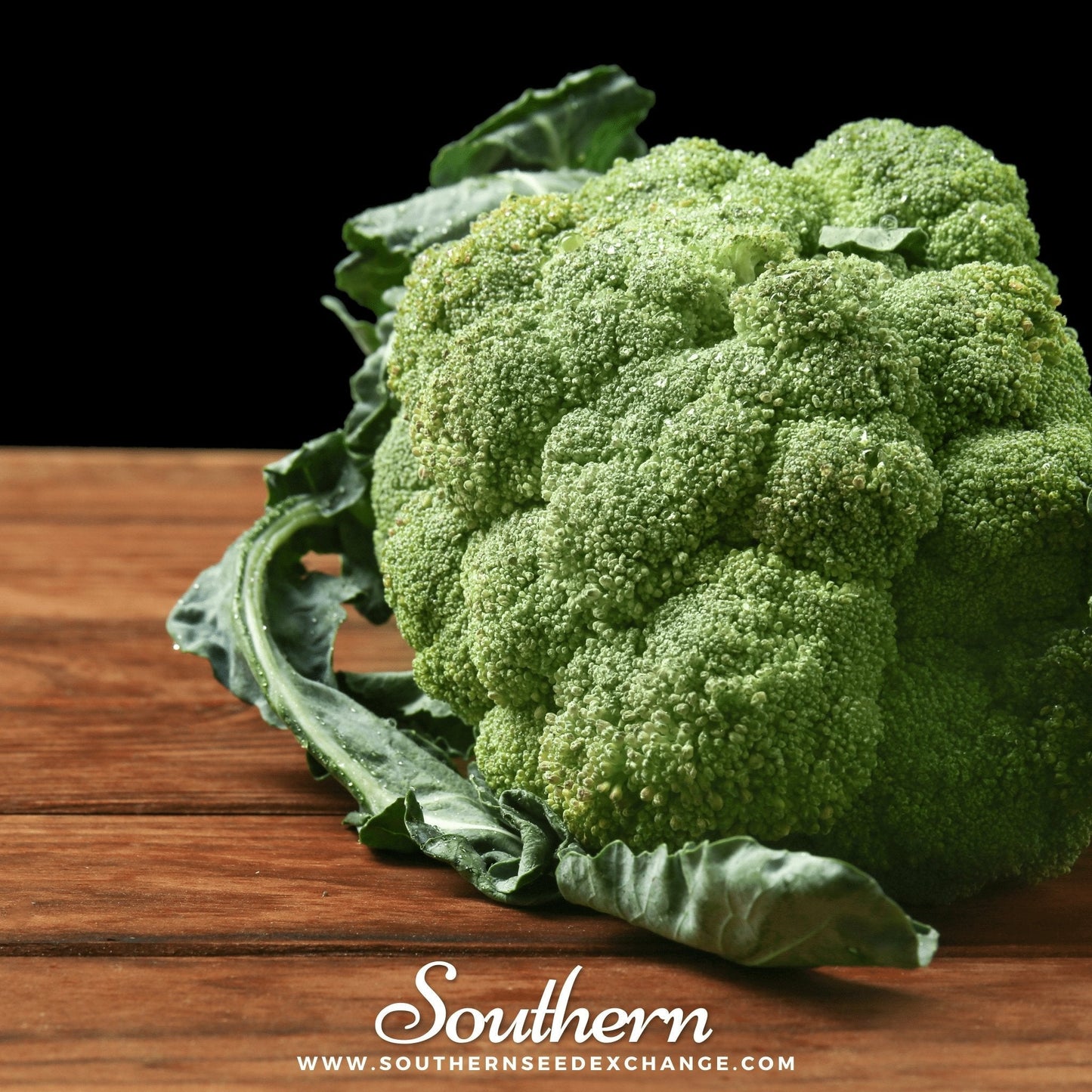 Calabrese Green Broccoli ā 100 Seeds