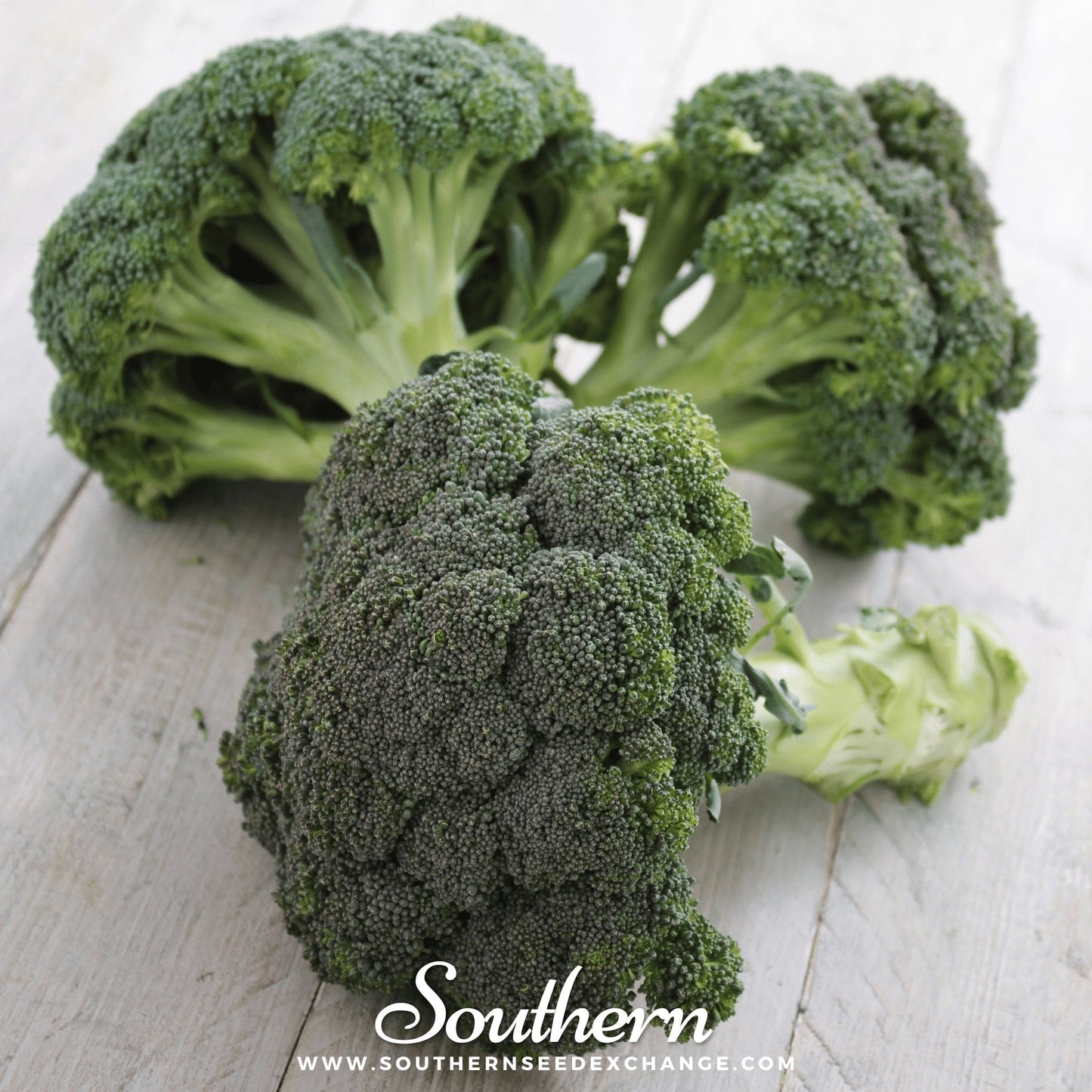 Calabrese Green Broccoli ā 100 Seeds