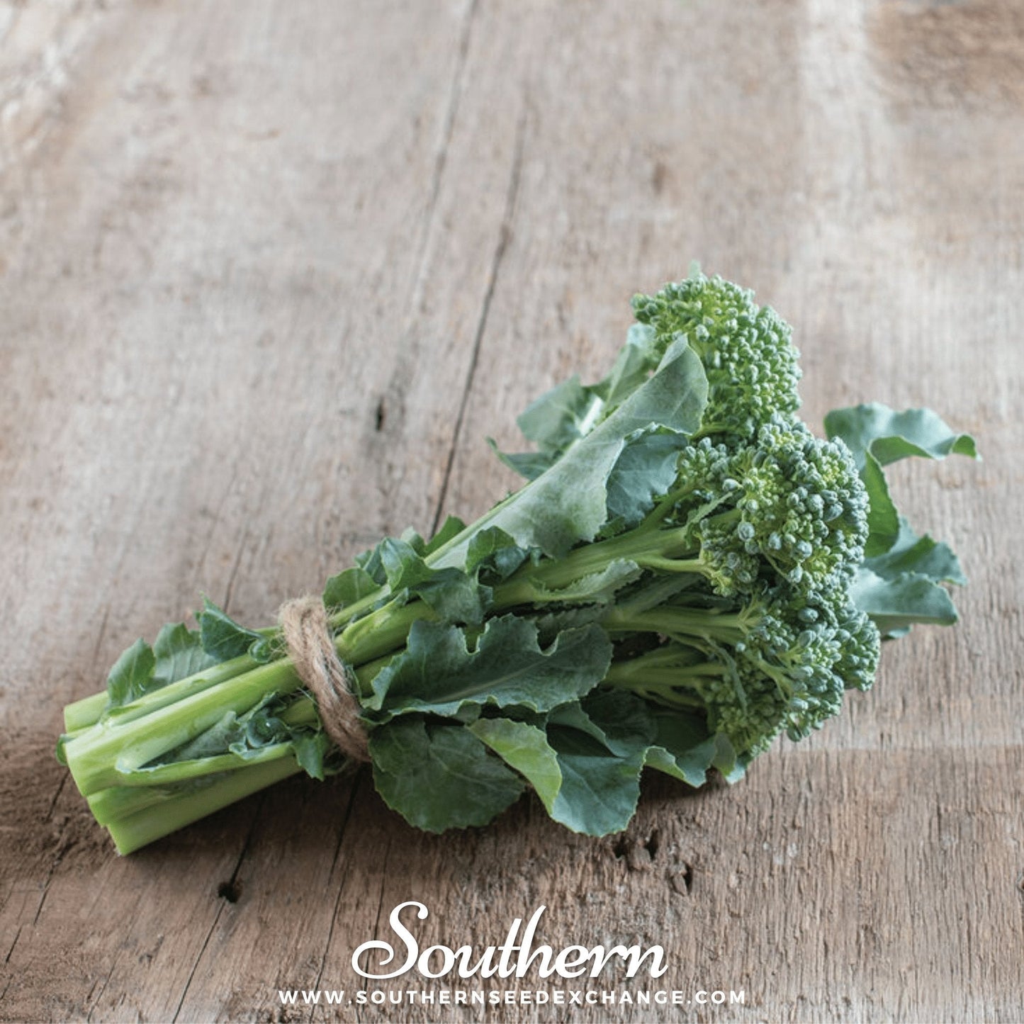 Di Cicco Broccoli ā 200 Seeds