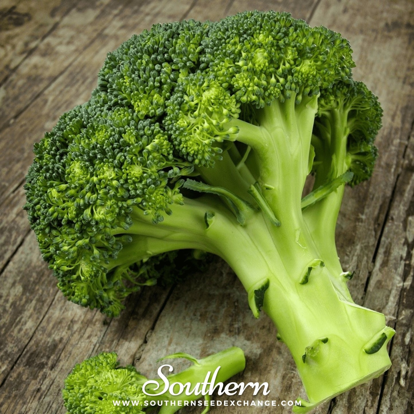 Waltham 29 Broccoli ā 100 Seeds