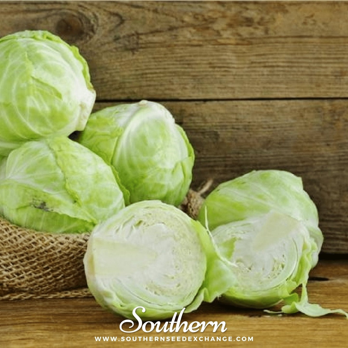 Copenhagen Market Cabbage ā 100 Seeds