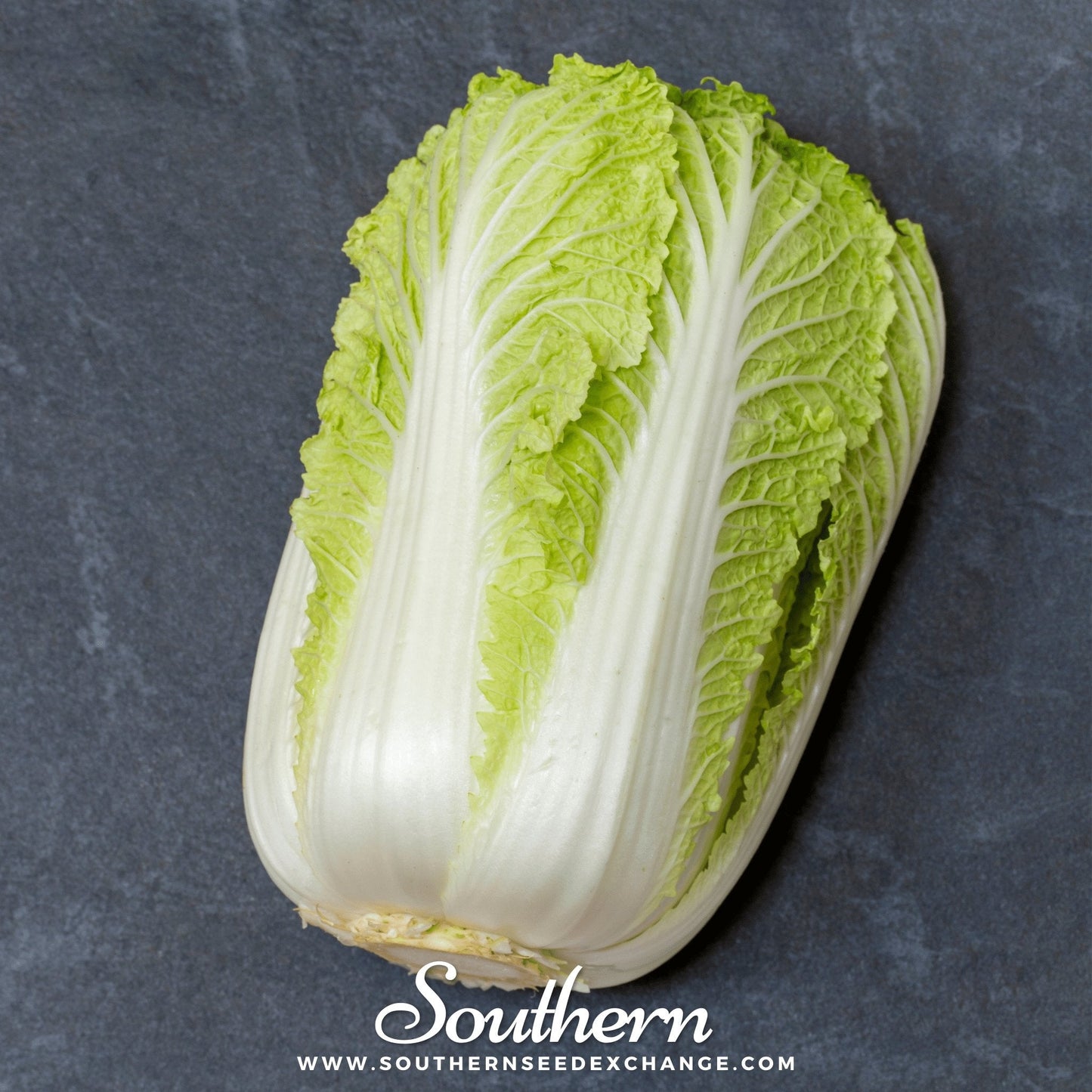 Napa Michihili Heading Cabbage ā 100 Seeds