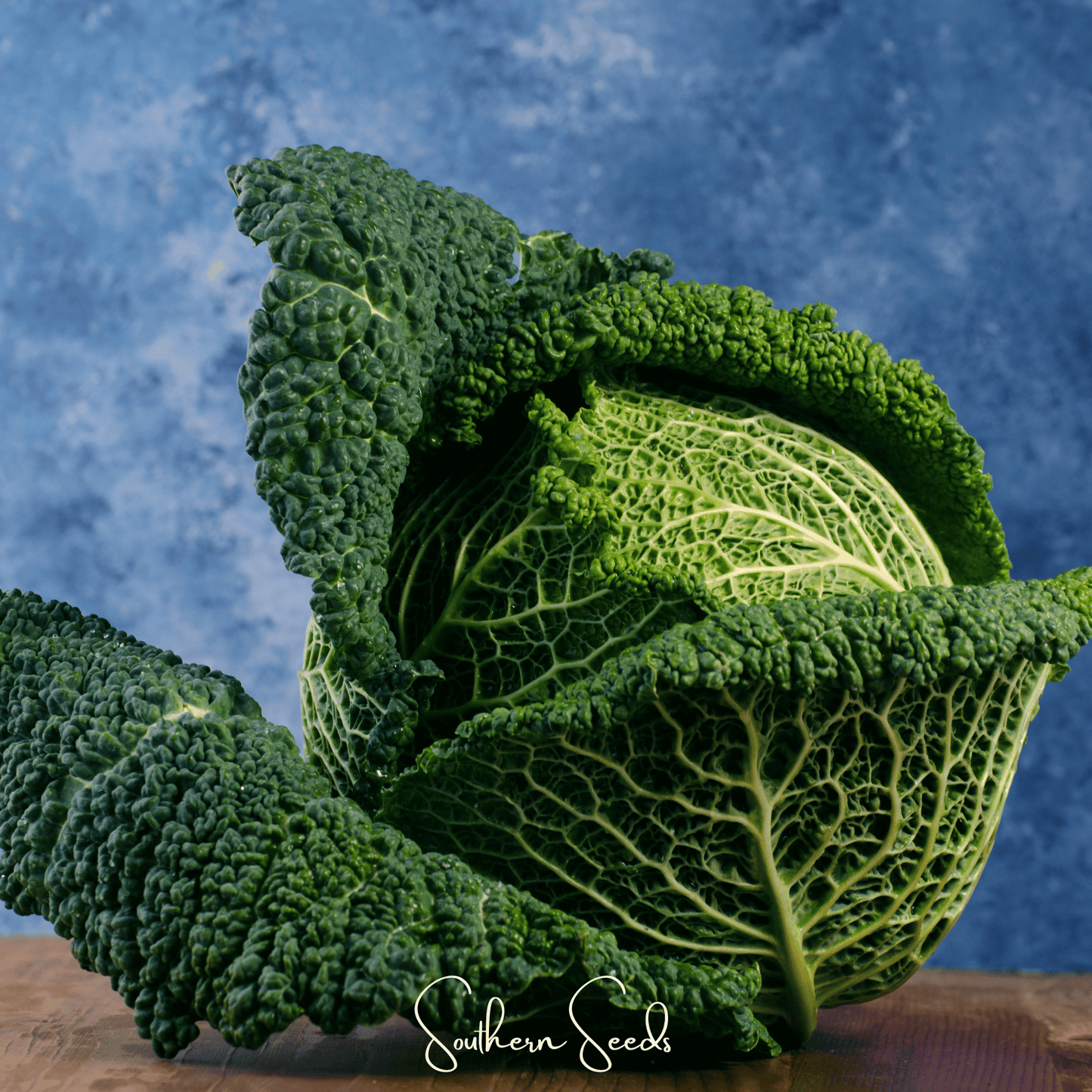 Savoy Cabbage ā 100 Seeds