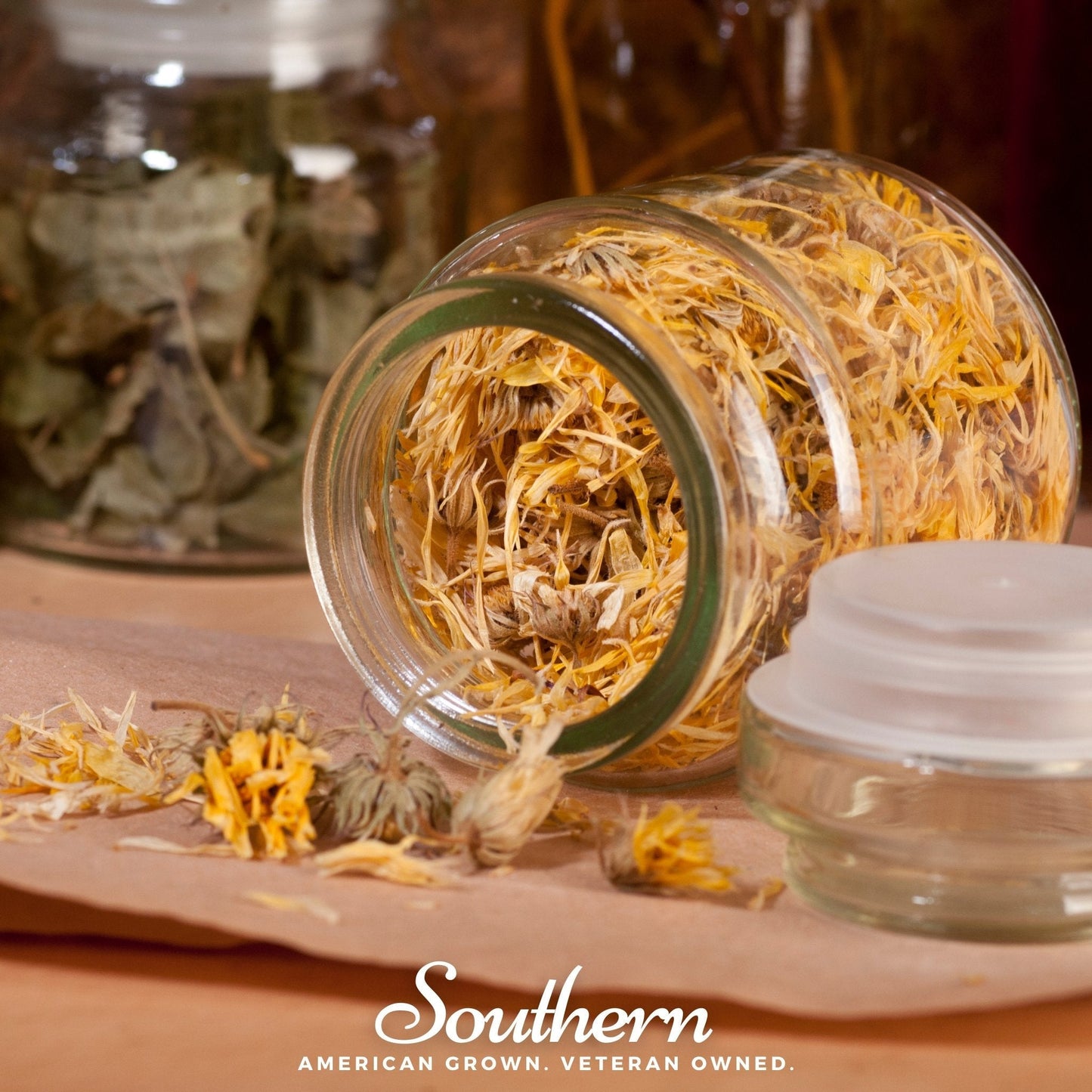 Fiesta Gitana Calendula ā 100 Seeds