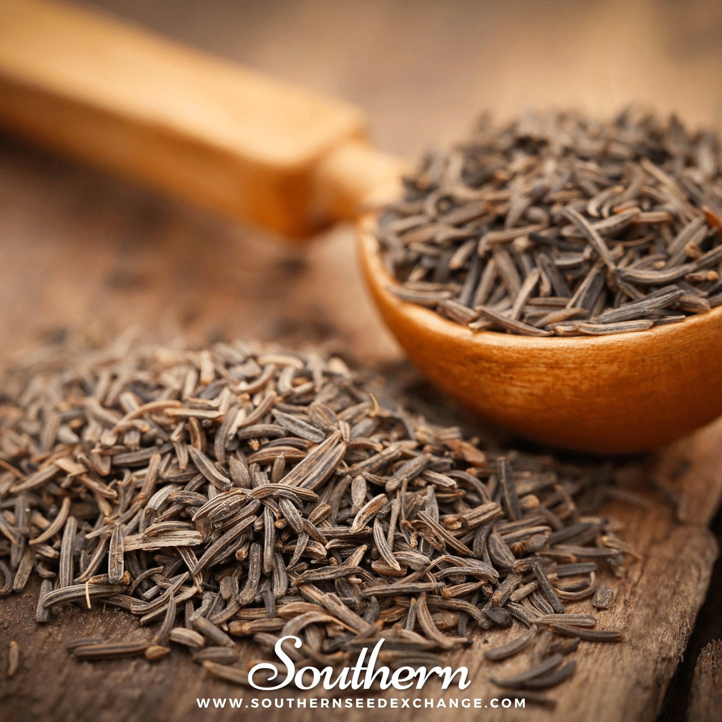 Caraway ā 150 Seeds