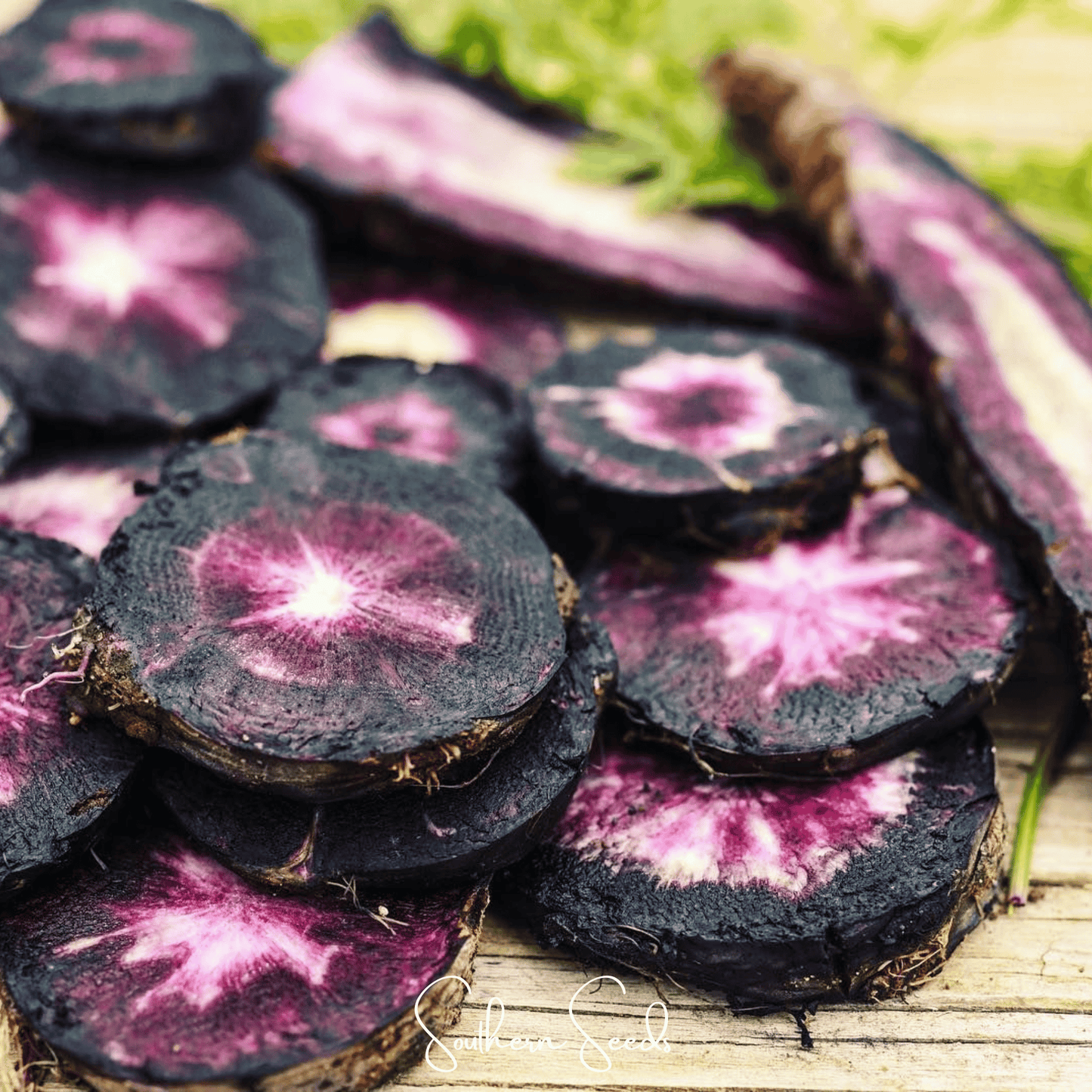Black Nebula Carrot ā 250 Seeds