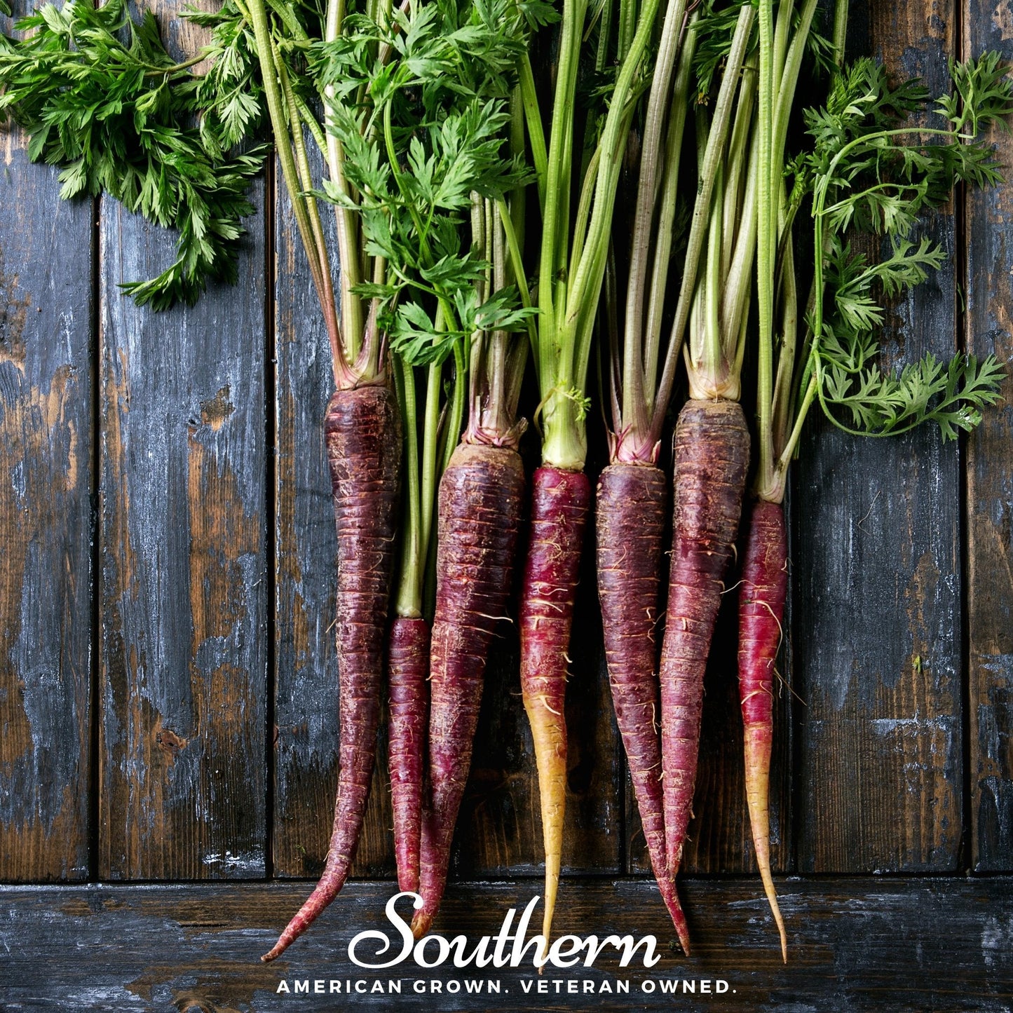 Cosmic Purple Carrot ā 250 Seeds