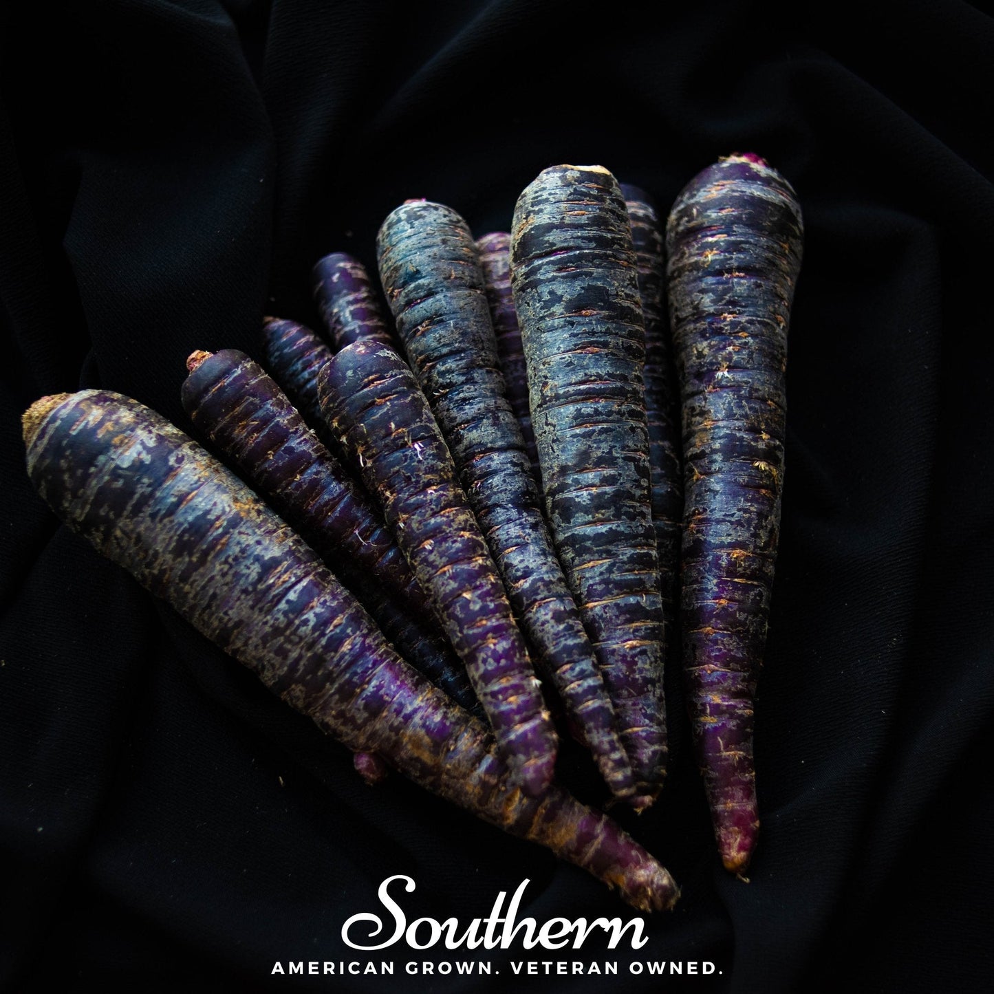 Cosmic Purple Carrot ā 250 Seeds