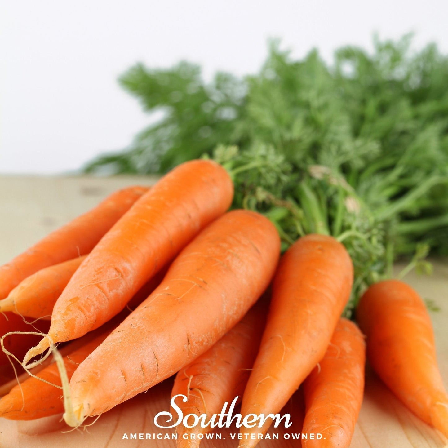 Danvers Carrot ā 250 Seeds