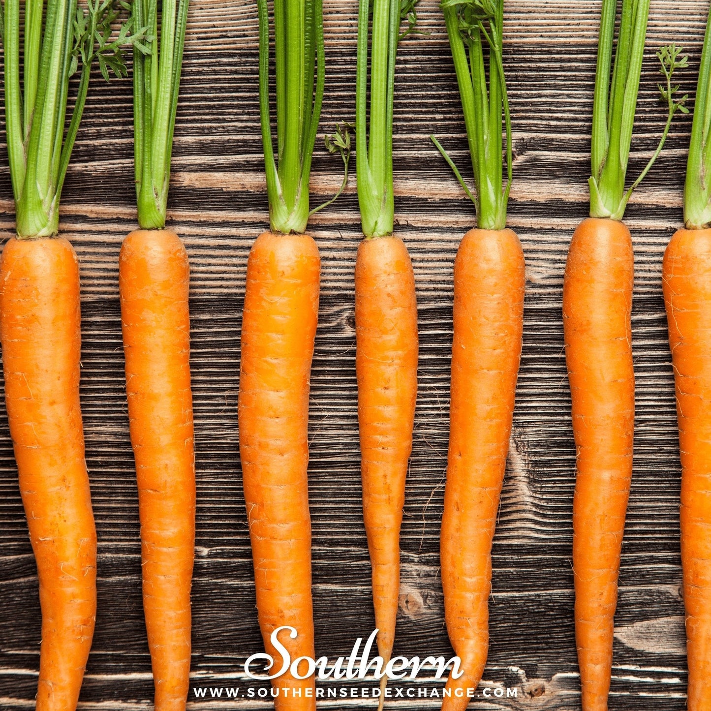 Imperator 58 Carrot ā 250 Seeds