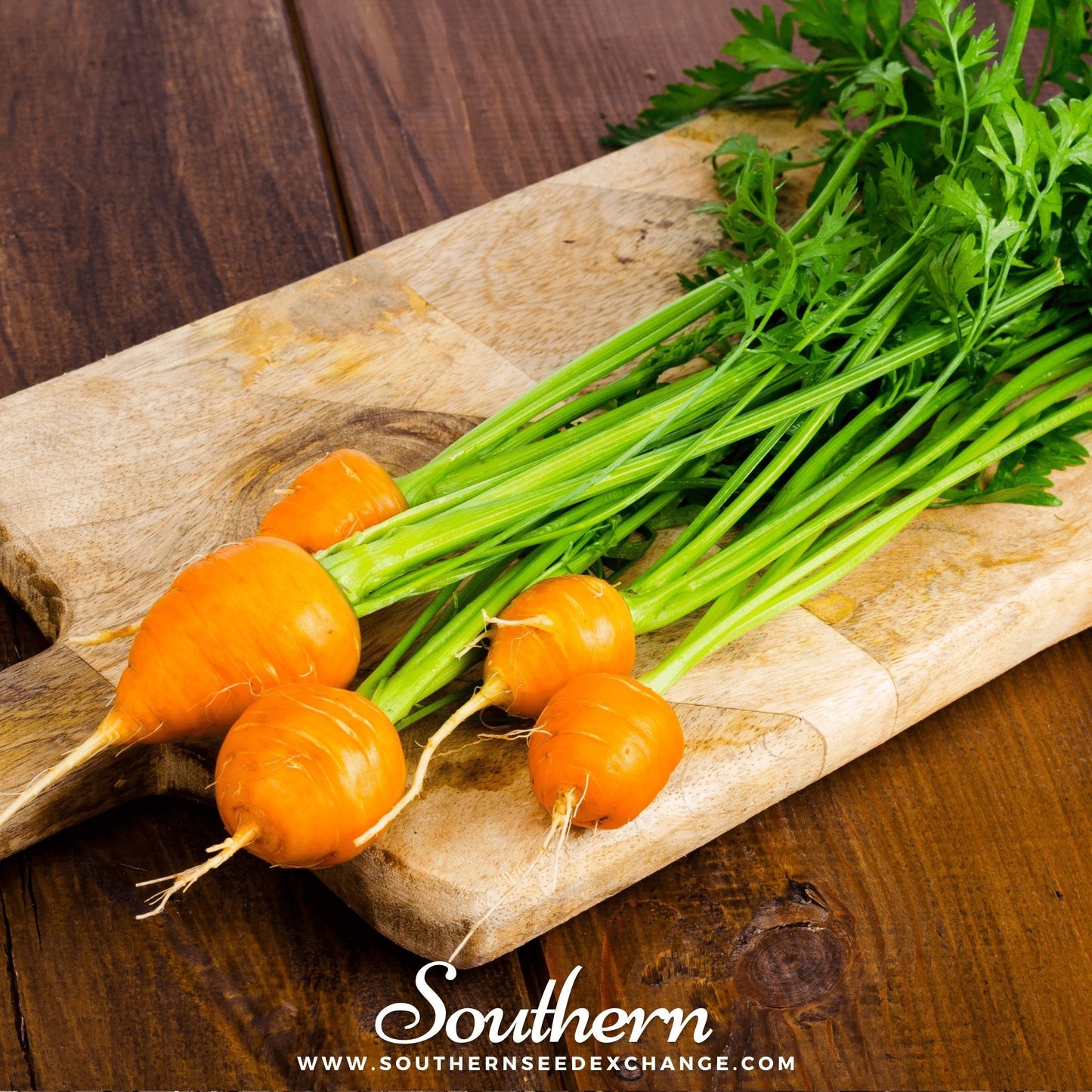 Parisian Carrot ā 250 Seeds