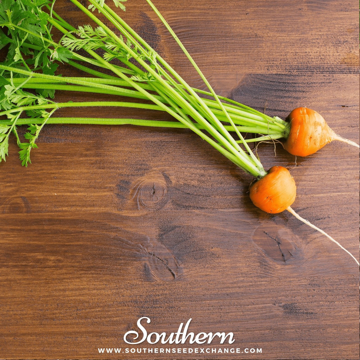 Parisian Carrot ā 250 Seeds