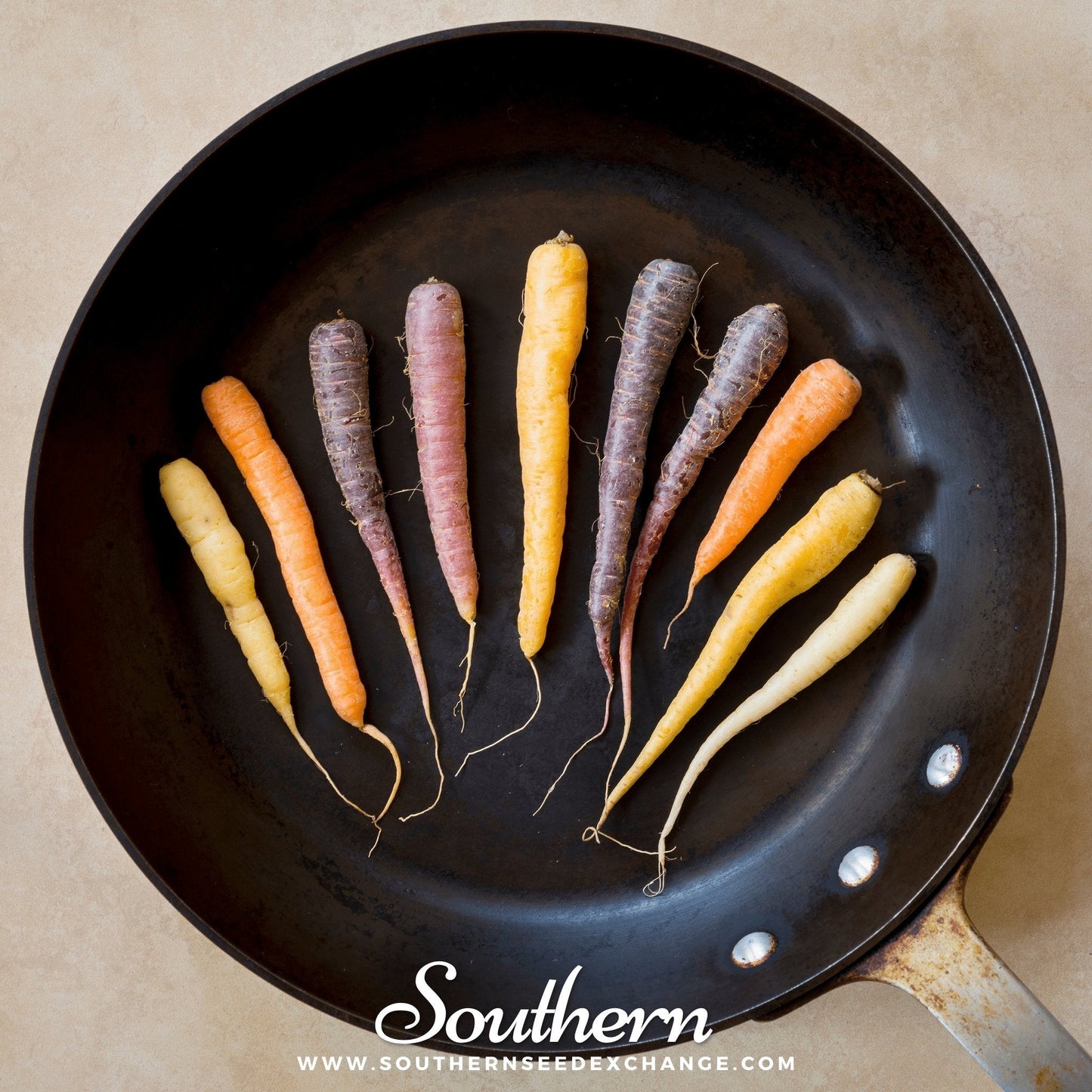 Rainbow Carrot ā 100 Seeds