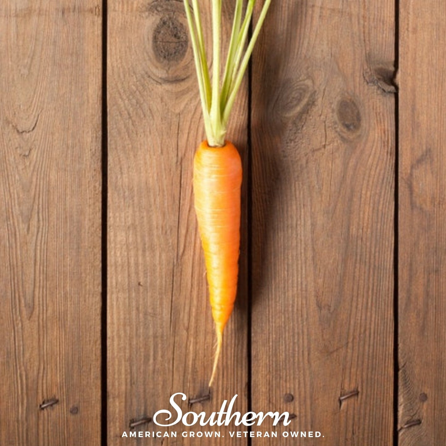 Scarlet Nantes Carrot ā 250 Seeds