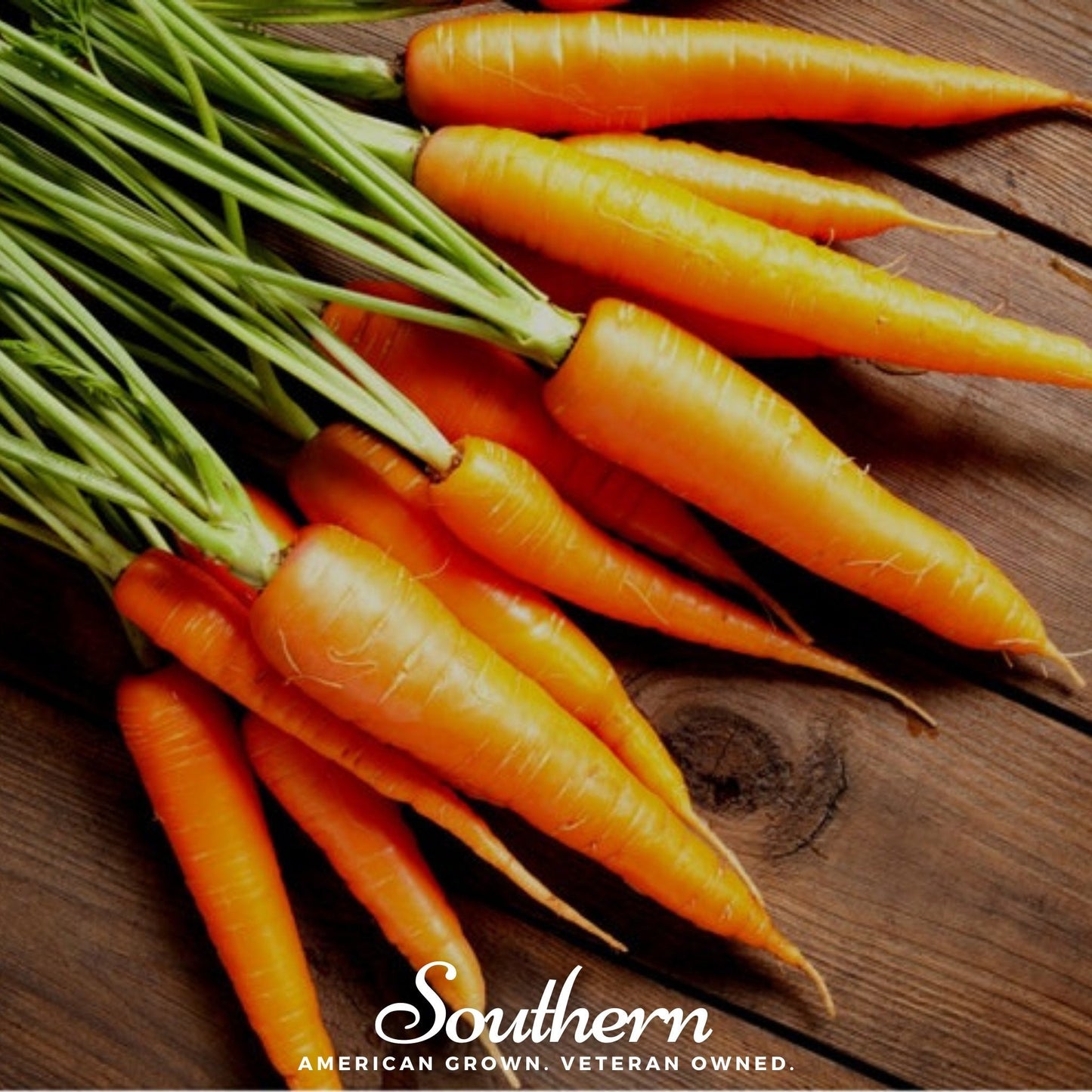 Scarlet Nantes Carrot ā 250 Seeds