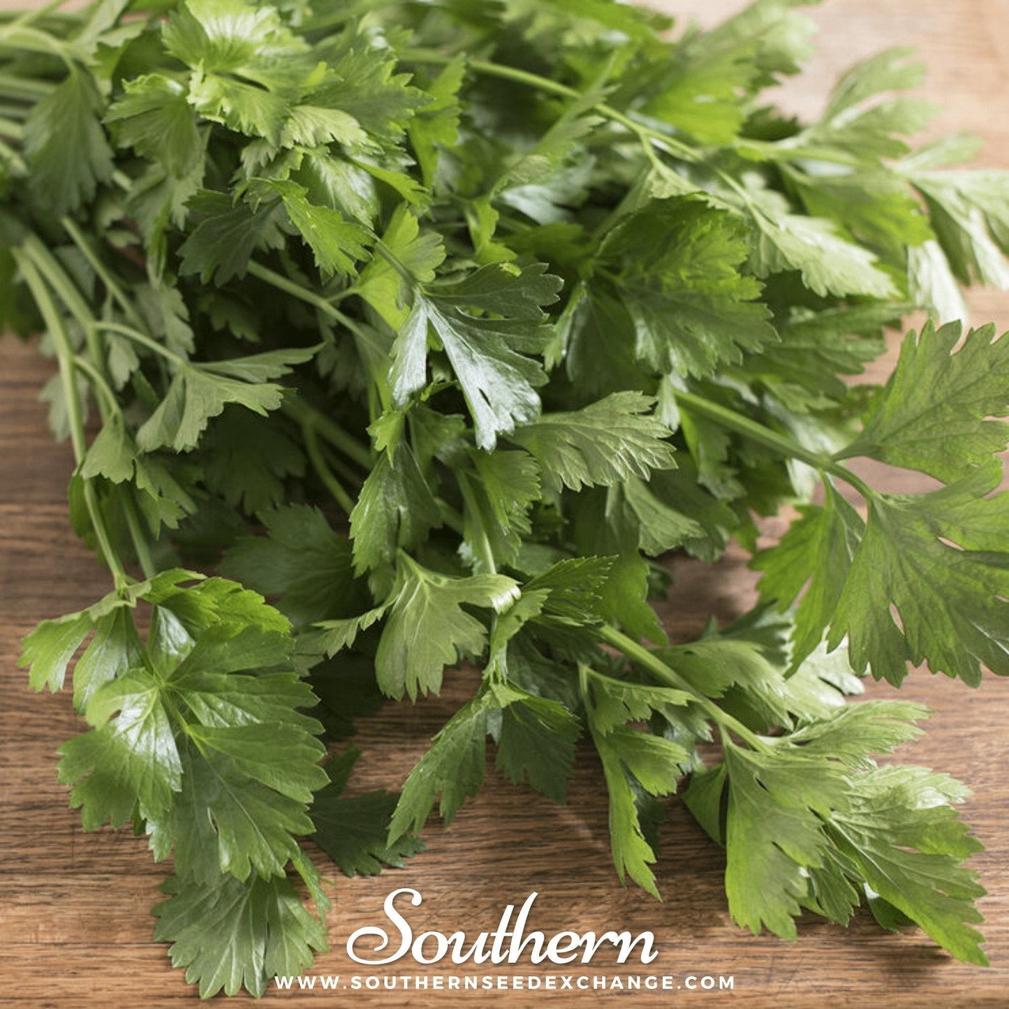 Cutting Celery ā 200 Seeds