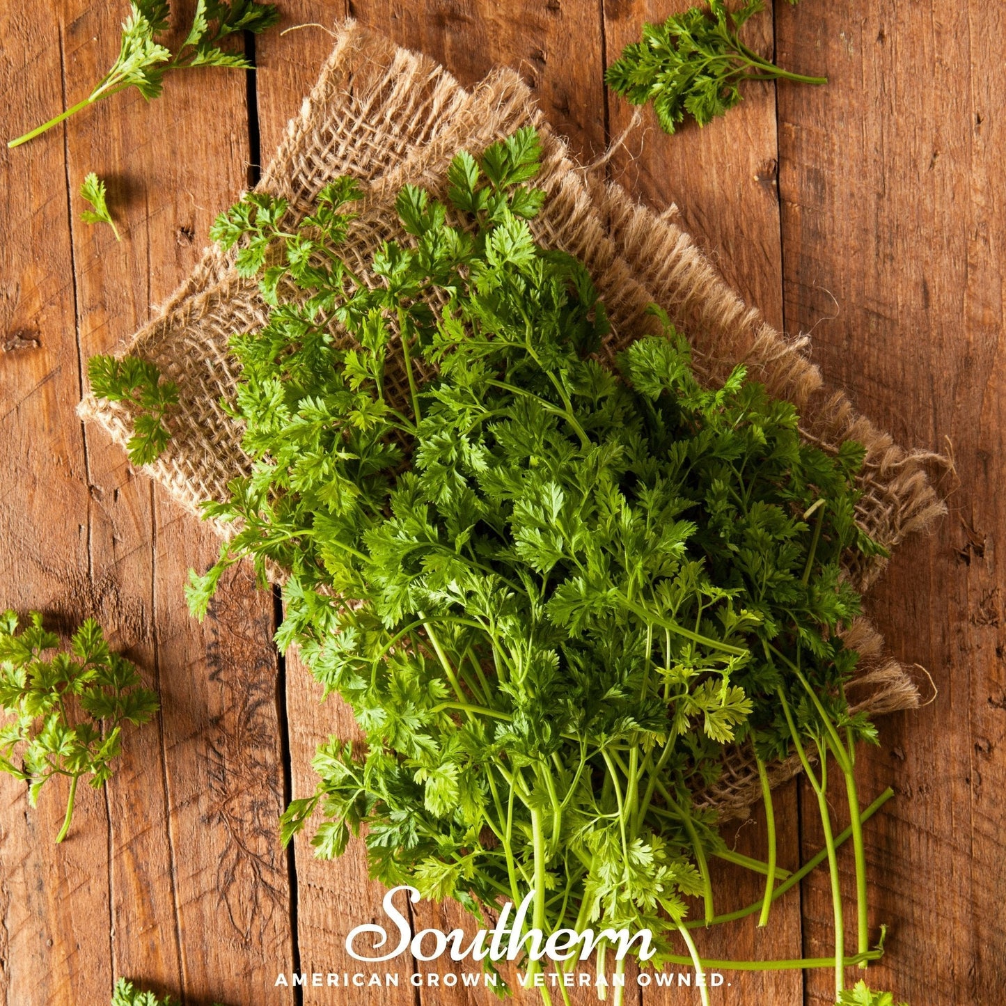 Curled Chervil ā 200 Seeds