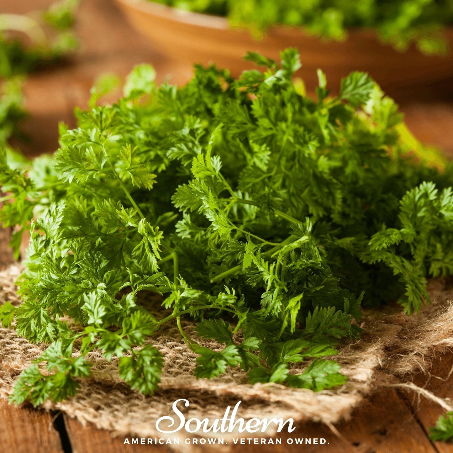 Curled Chervil ā 200 Seeds