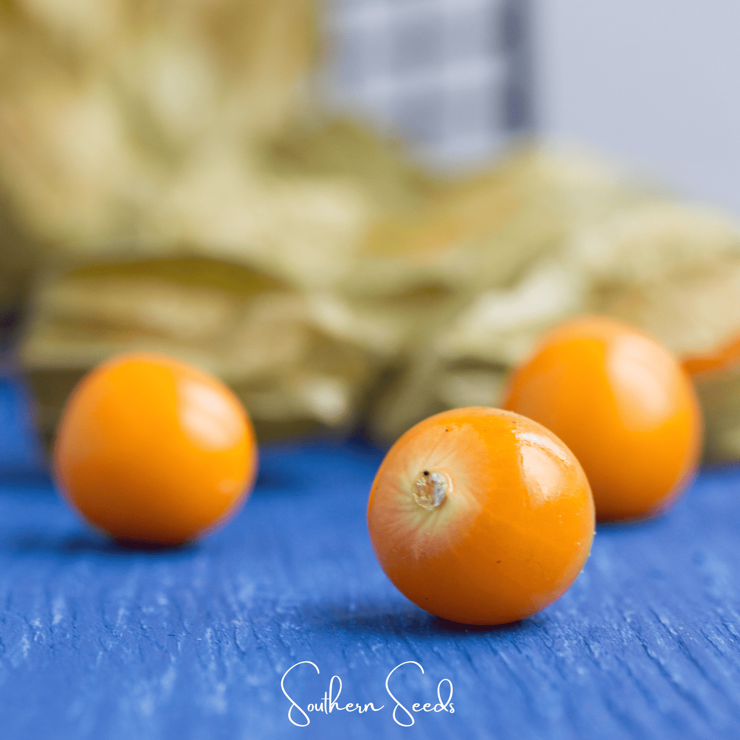 Chinese Lantern ā 50 Seeds
