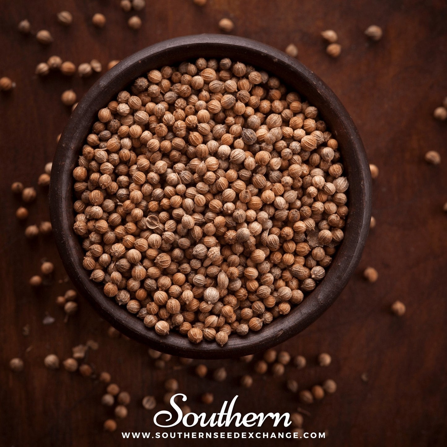 Santo Cilantro ā 100 Seeds