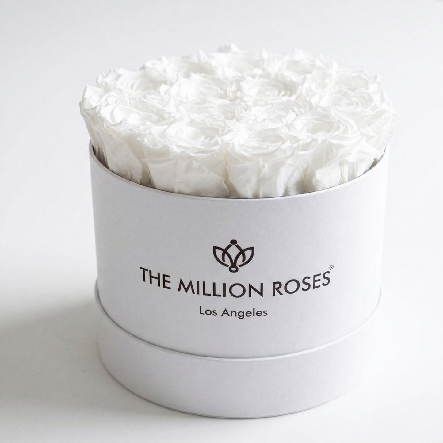 Classic White Box | White Roses