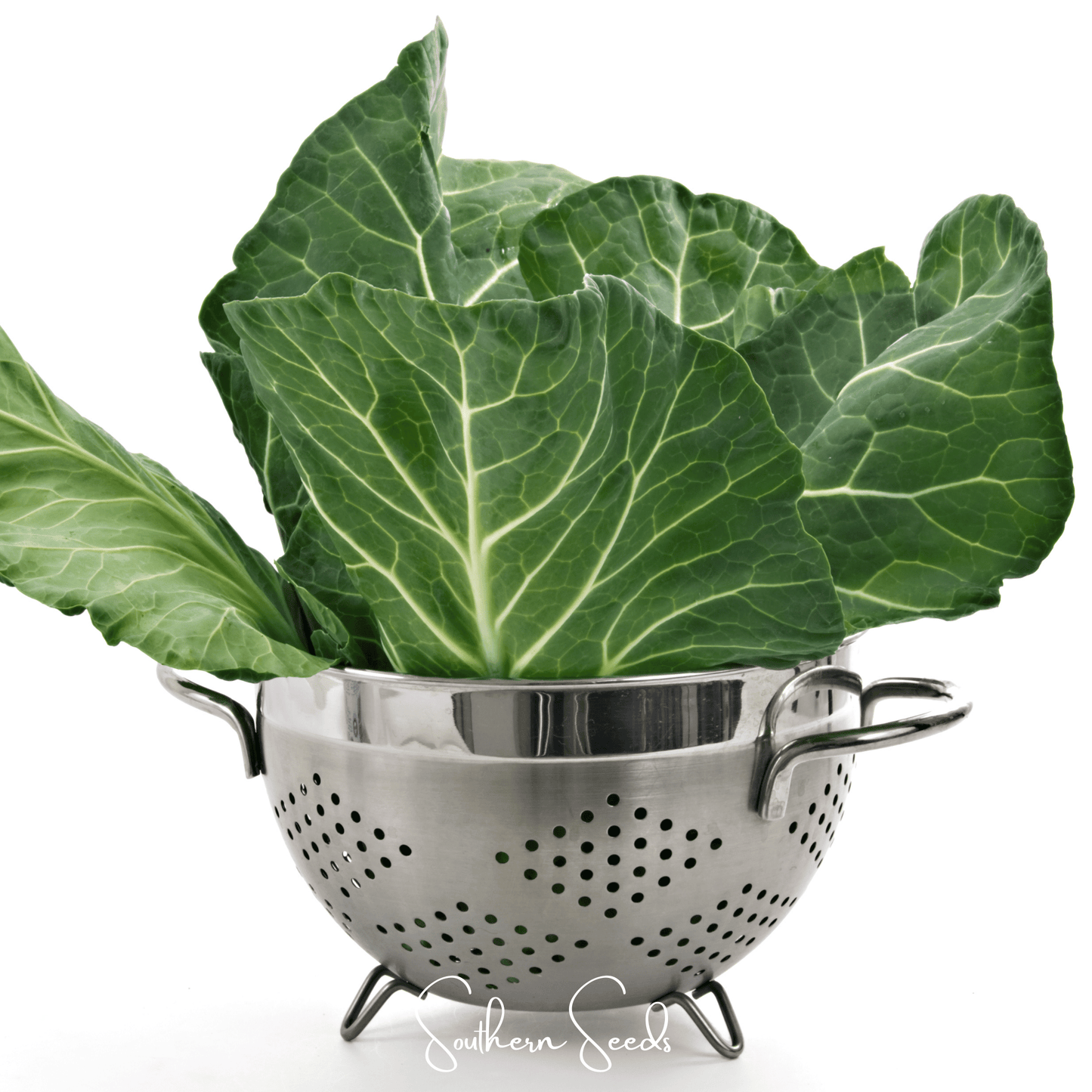 Georgia Collard Greens ā 100 Seeds