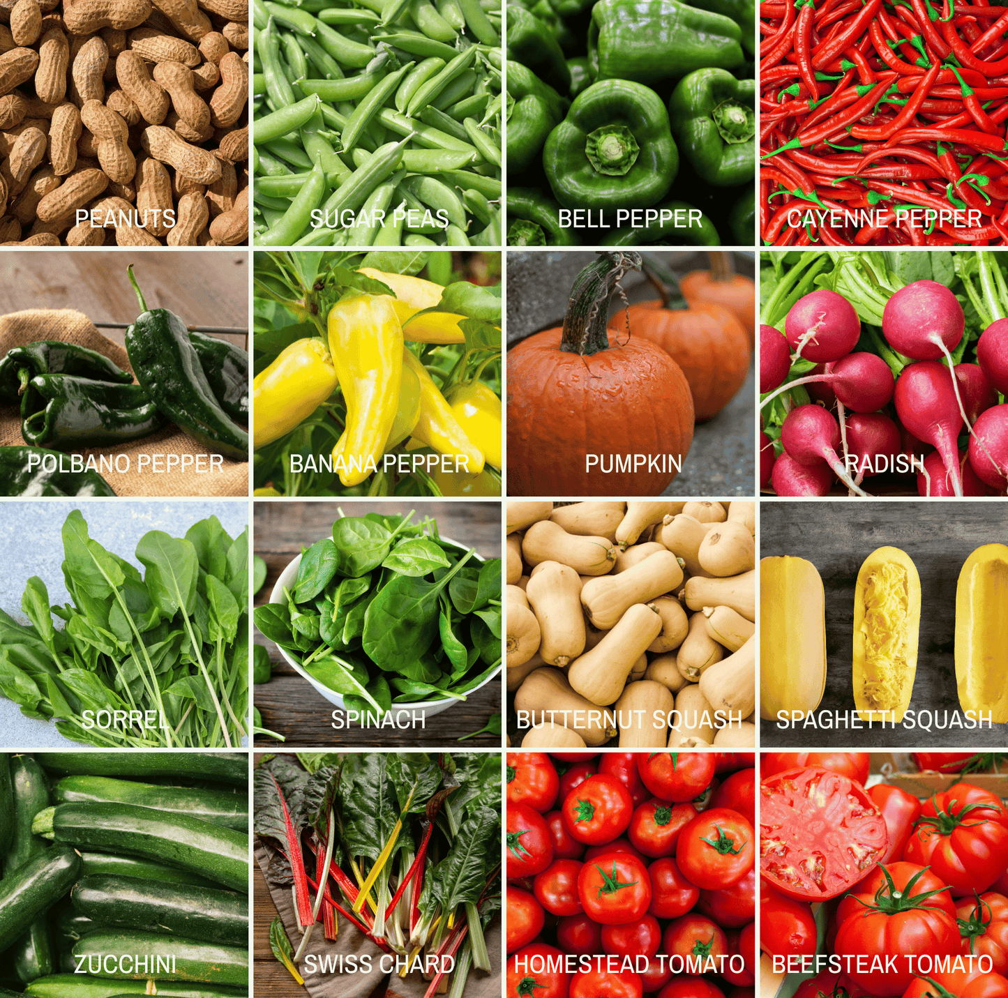 Community Garden Survival Seed Vault ā 120 Seed Varieties
