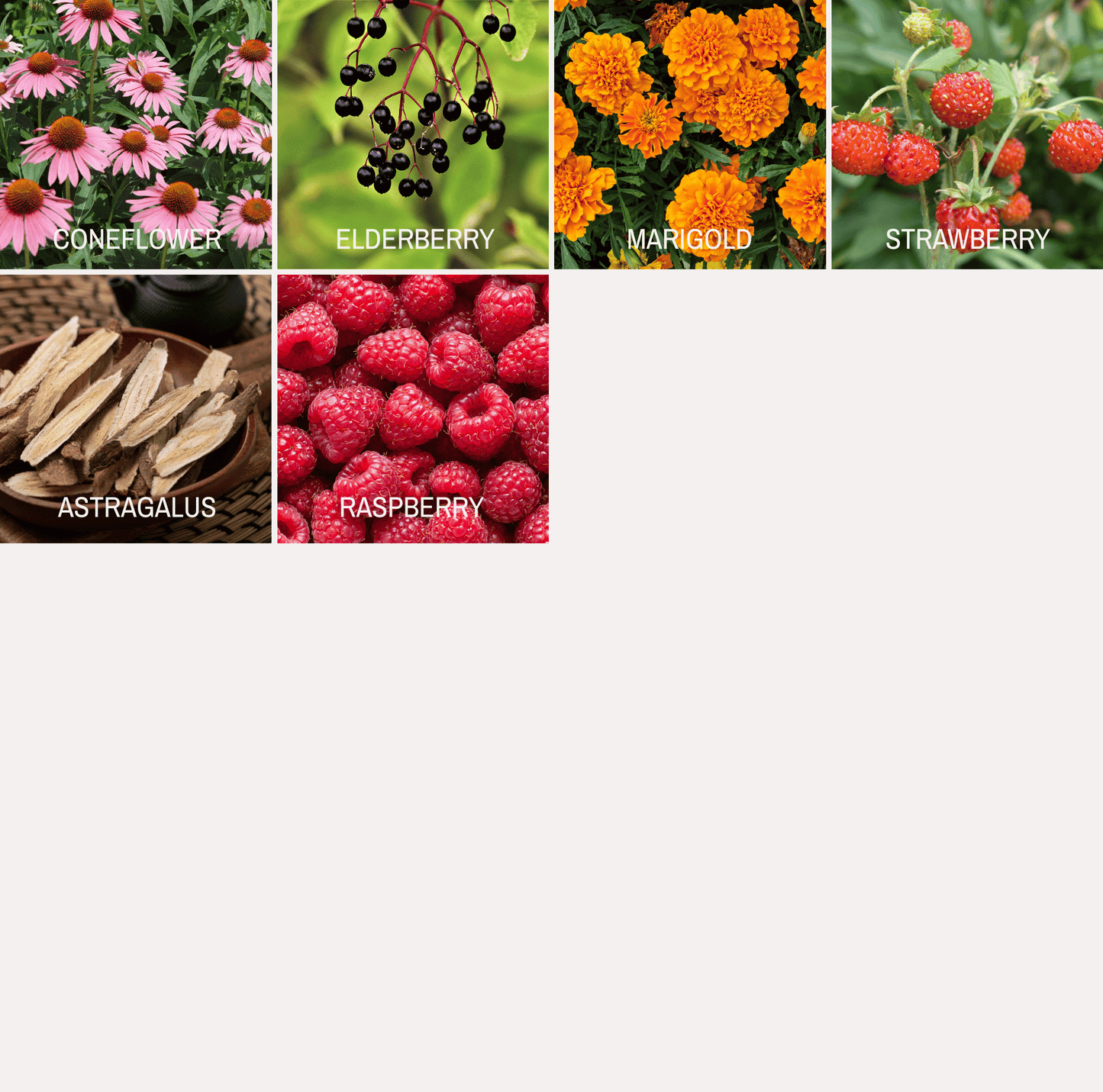 Community Garden Survival Seed Vault ā 120 Seed Varieties
